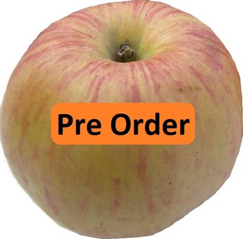 PreOrder - Northern Spy.jpg