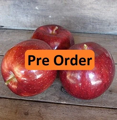 PreOrder - Empire.jpg