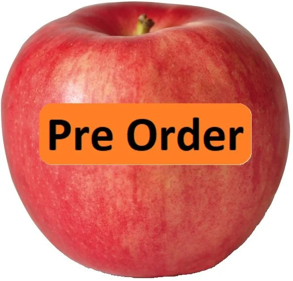 Autumn Crisp - PreOrder.jpg