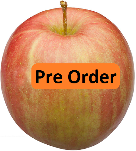 PreOrder - Fuji.PNG