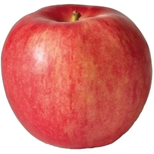 Autumn Crisp.jpg