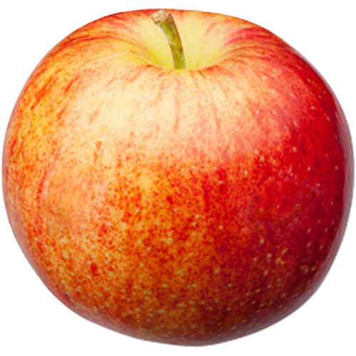 Jonagold.PNG