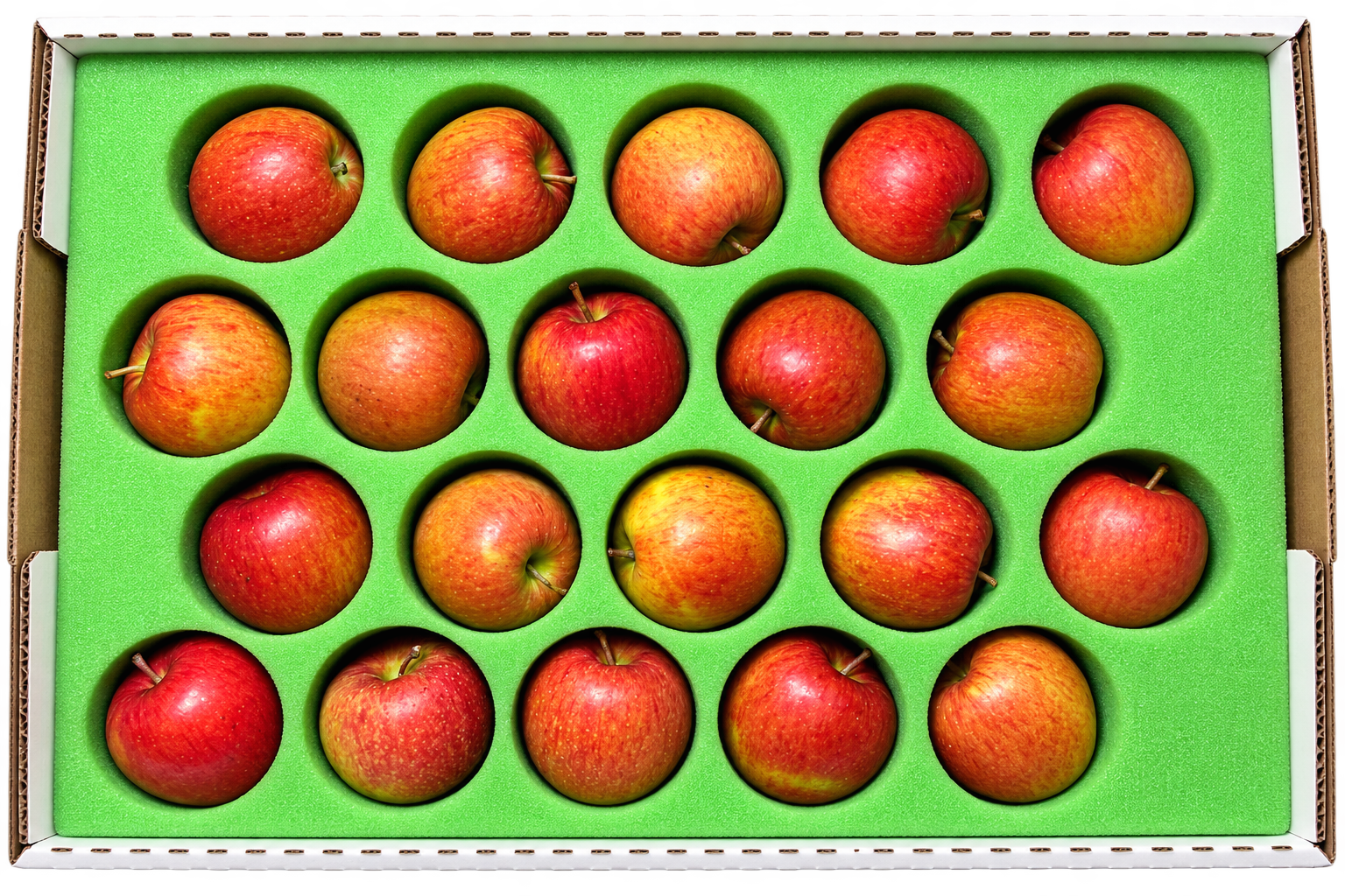 Apples Foam.PNG (Copy)