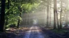 Navigating Life’s Challenges: Why Some Thrive and Others Get Stuck ...