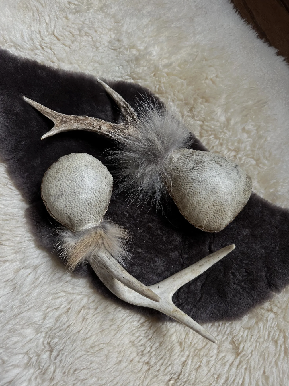 Screenshot 2025-12-30 at 9.00.08 AM.png