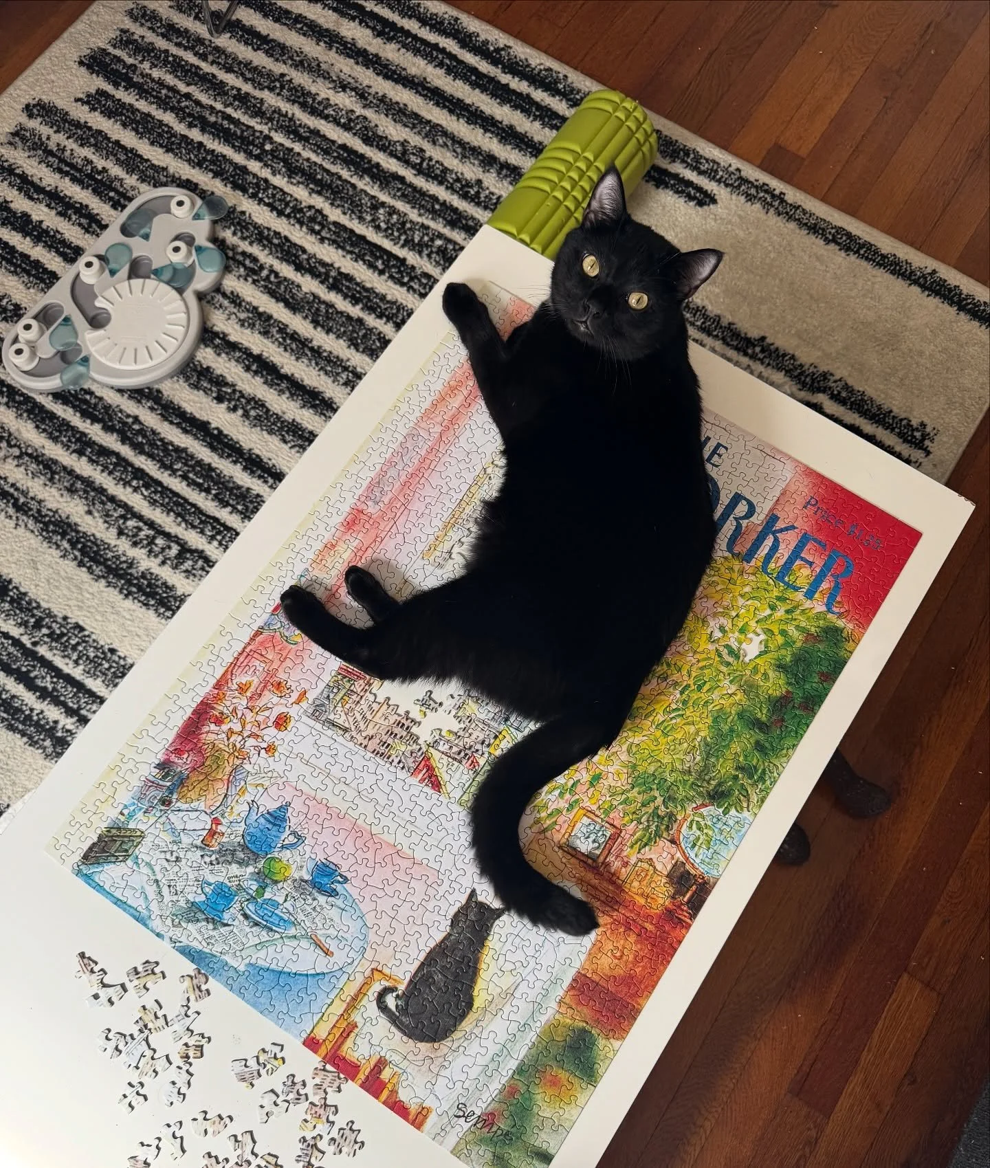 weekend art & crafts & cats & diary update π½π