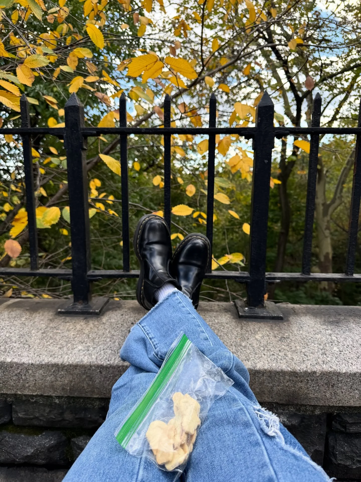 october updates!!!🍁🍃🤓👻🎃

- i&rsquo;m gonna be part of an exhibition from dec-jan with @detoxgallery !!! filmed an artist interview yesterday at the gallery in chelsea, craaaazy business 🤯💘

- *almost* done with midterm papers!! except for one 