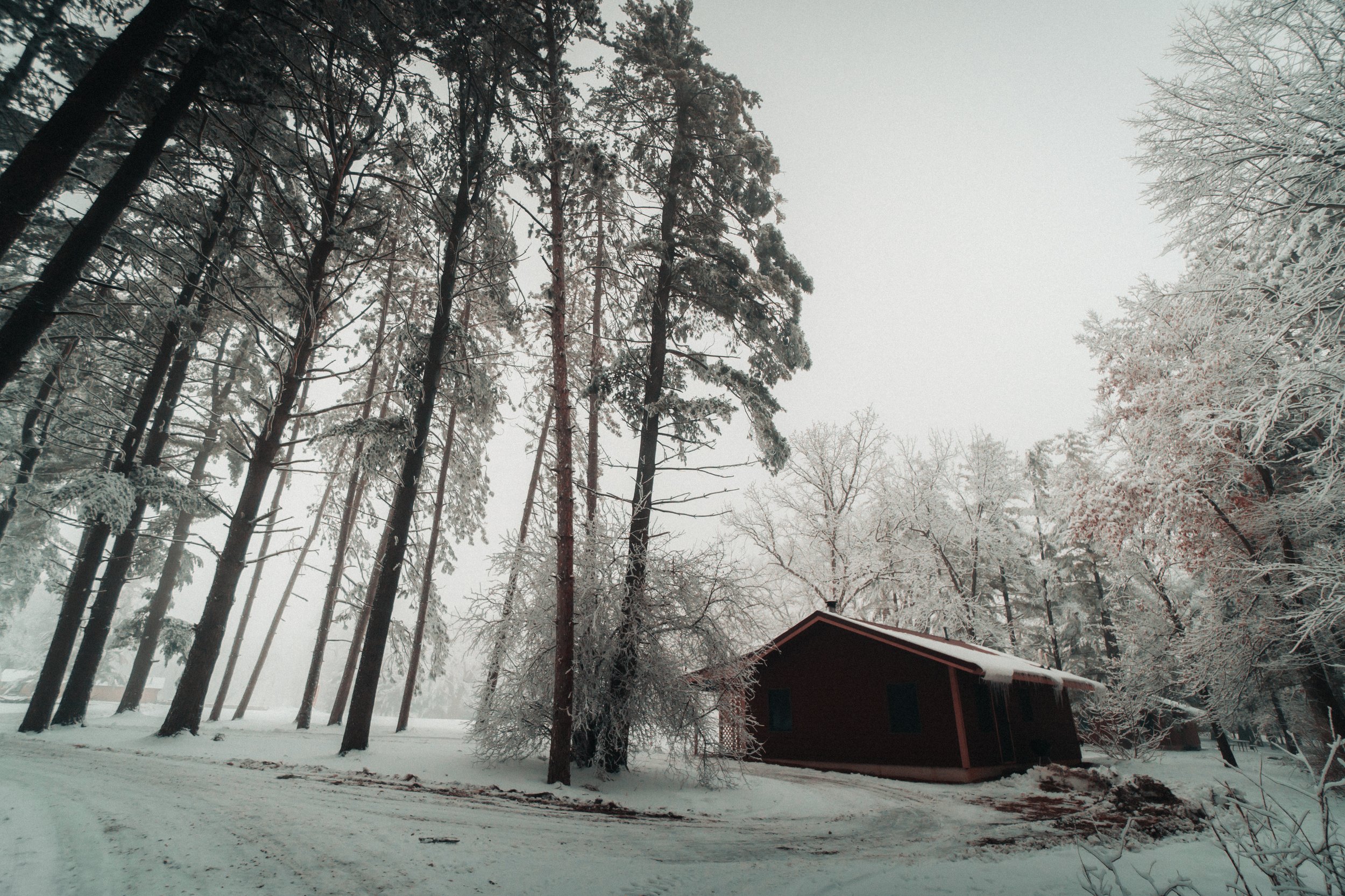 Kishauwau Cabins MKF Photo-10.jpg