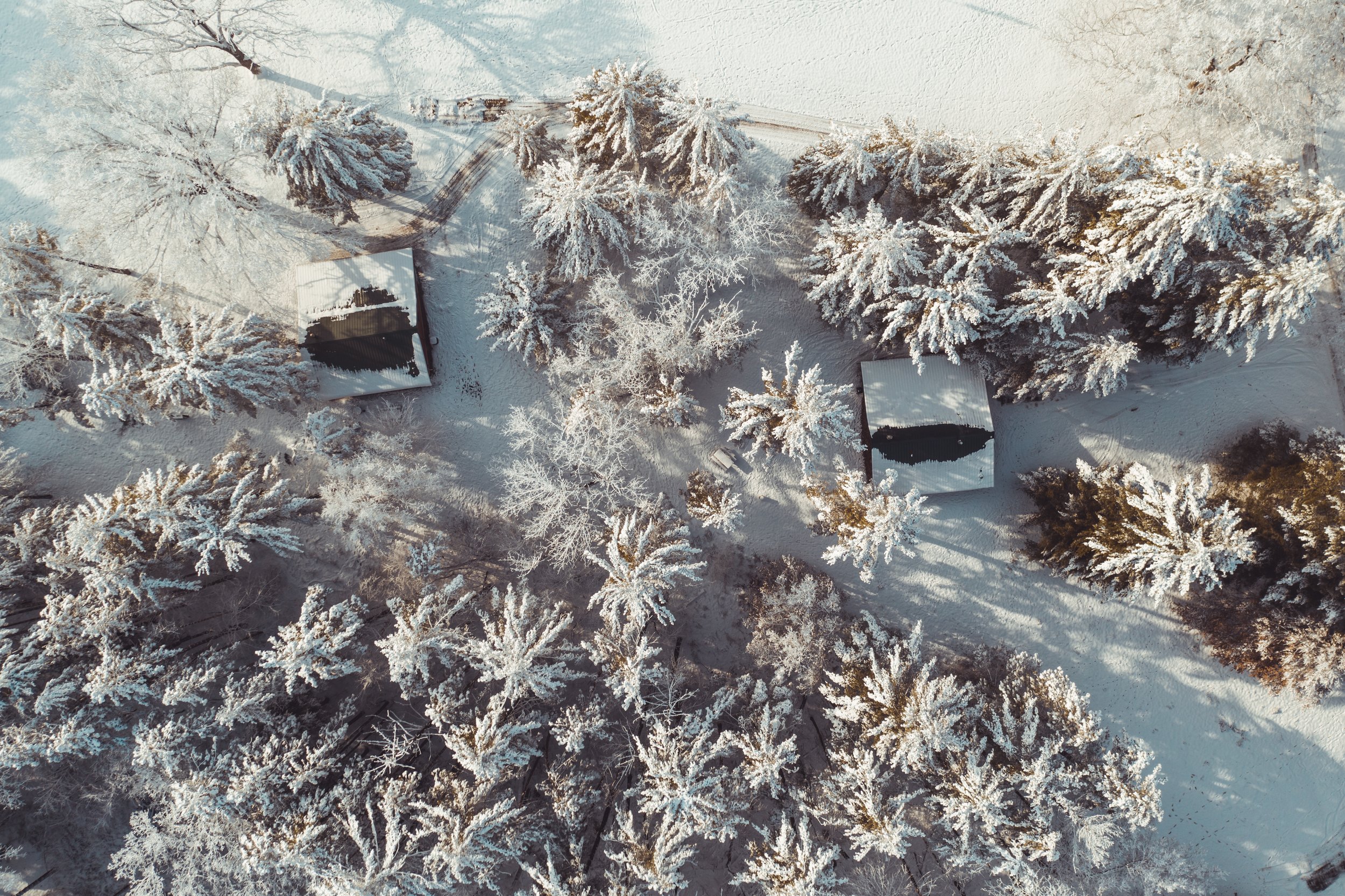 Kishauwau Cabins MKF Photo-28.jpg