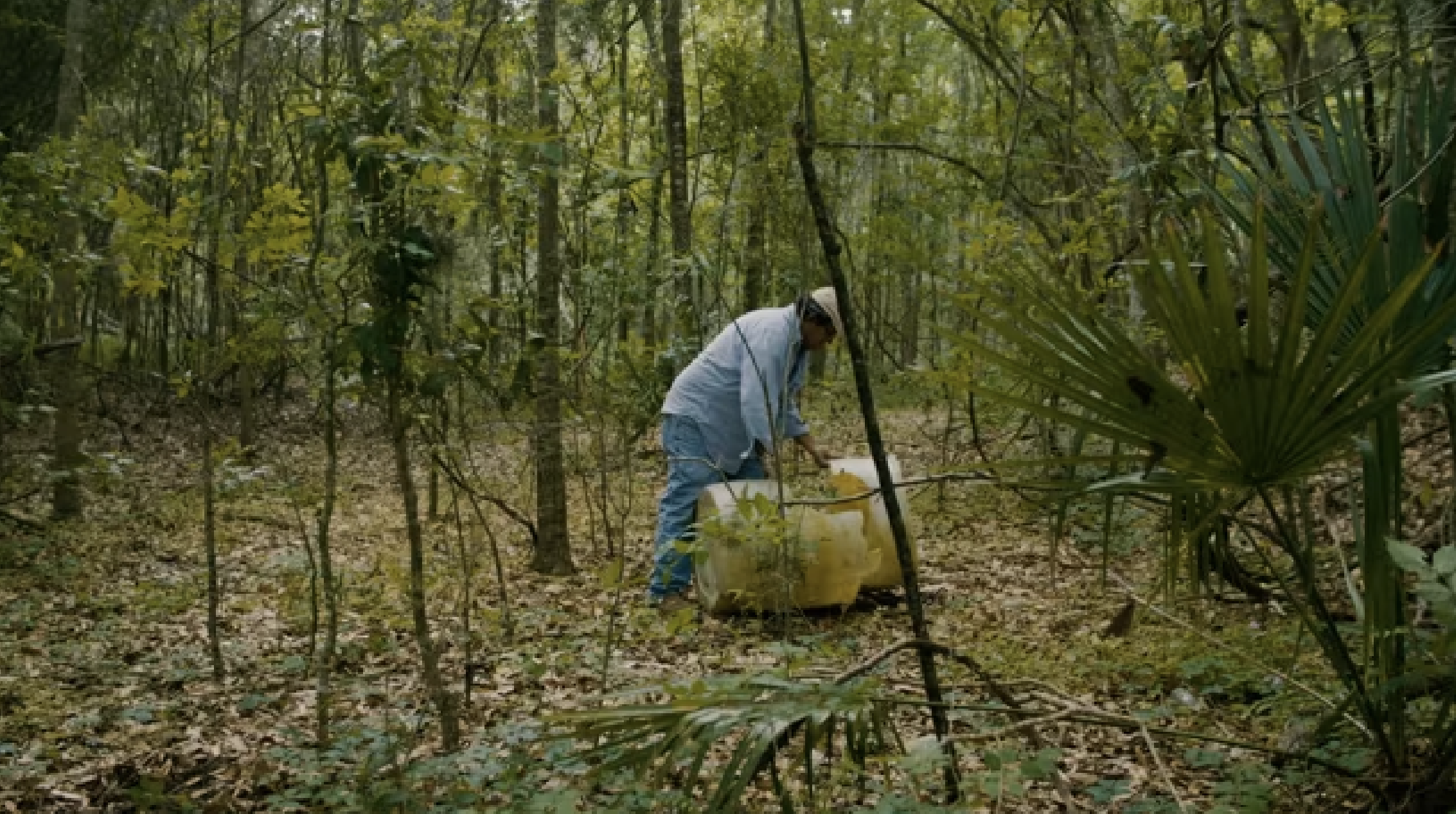 Screenshot 2023-06-11 at 9.42.56 PM.png