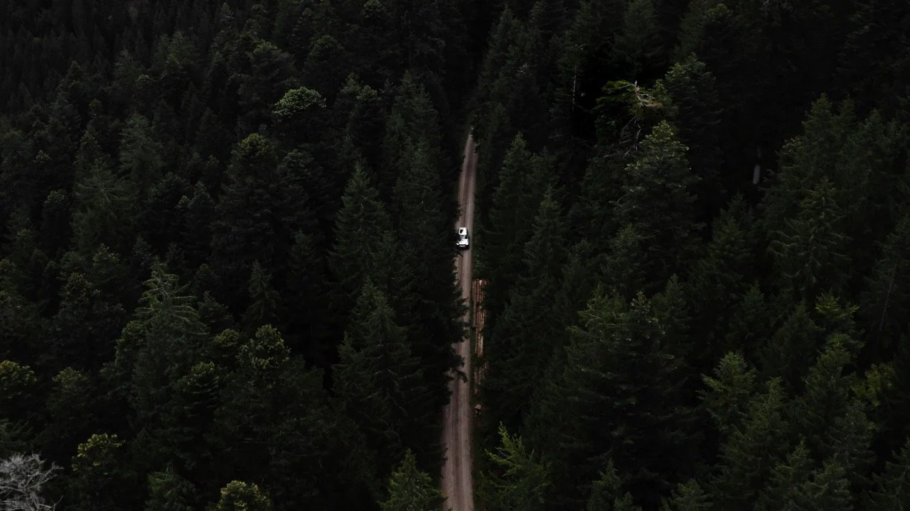 An aerial view of a narrow dirt road cutting through a dense forest of tall green trees with a single white vehicle traveling along the road.
