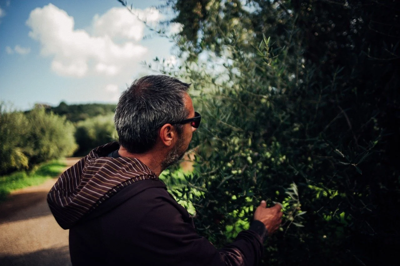 A man with gray hair and glasses, wearing a black jacket with a striped hoodie, stands outdoors near a dirt path, examining or picking plants from dense greenery on a sunny day with some clouds in the sky.