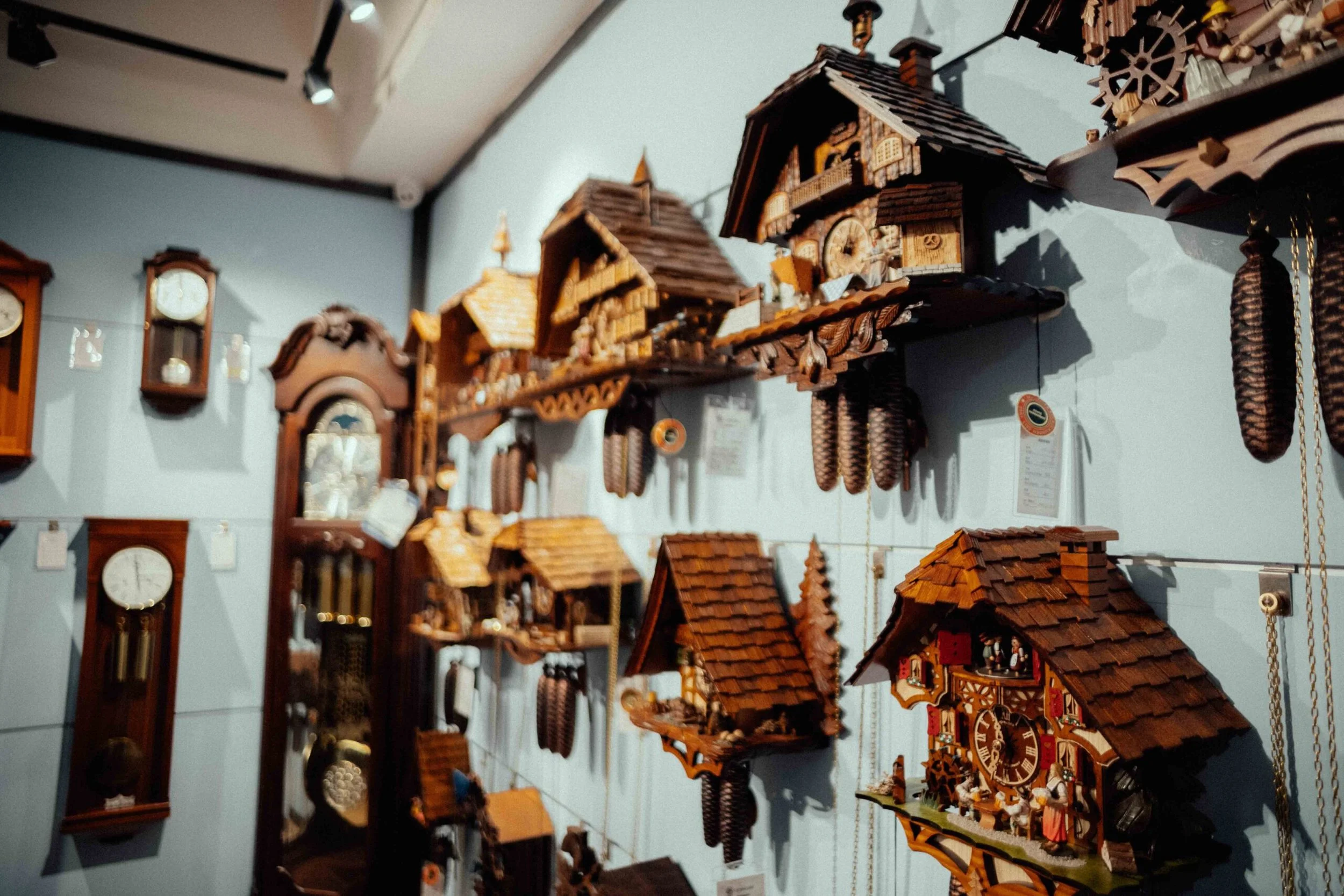 A display of various wooden cuckoo clocks on a light blue wall, including traditional chalet-style clocks with decorated faces and pinecone weights.