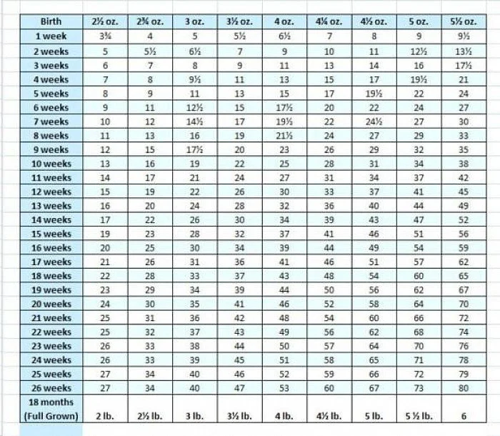 Growth Chart — Turning Leaf Chihuahuas