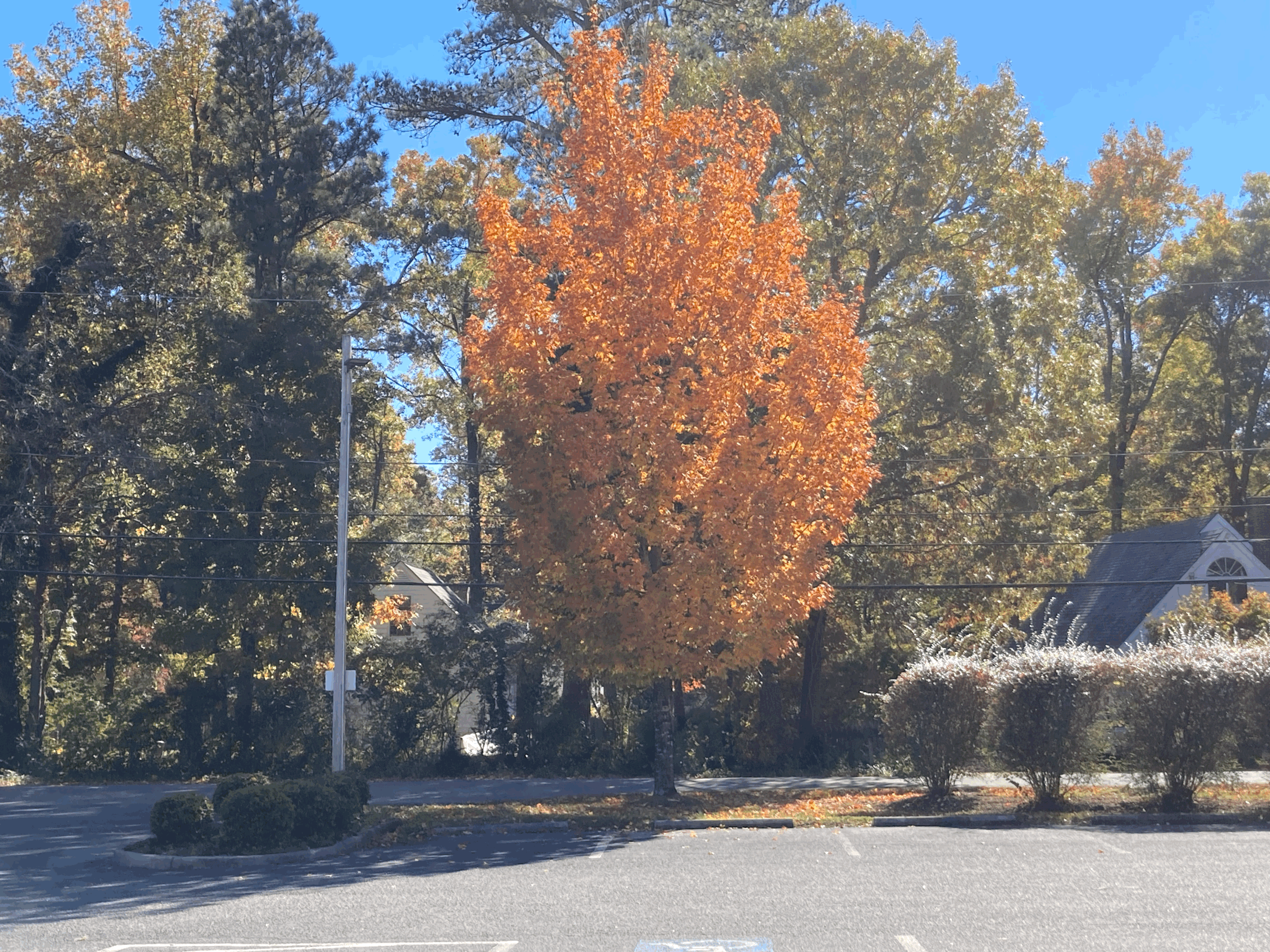 Welcome To Fall In The Richmond, Virginia Metro Area