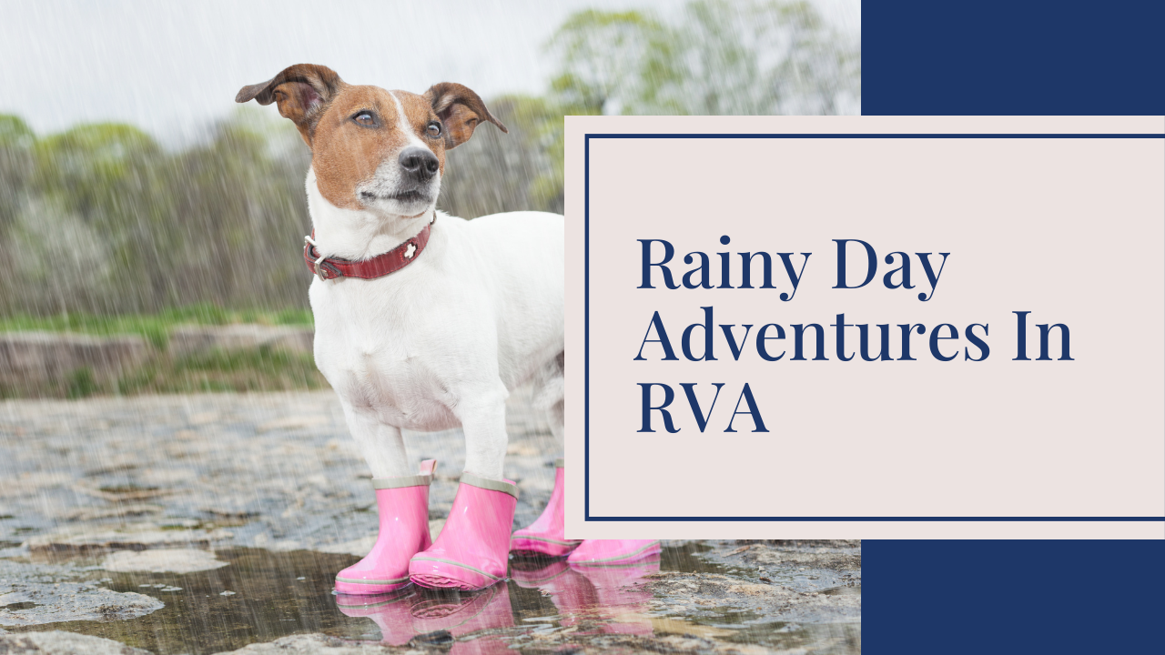 April Showers, RVA Powers: Rainy Day Adventures for Families in Richmond