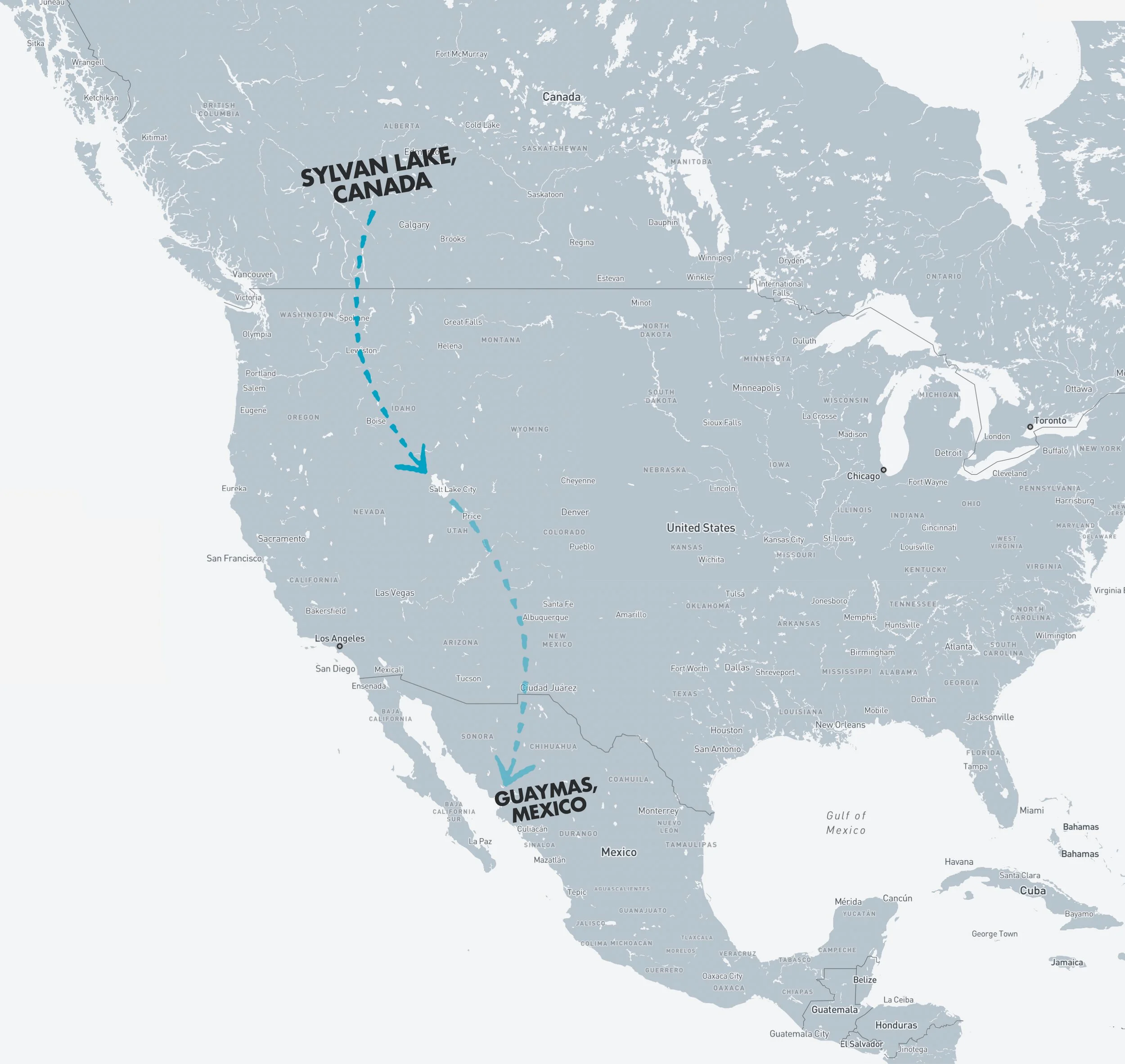 Sail_To_NZ_Drive 2.JPG