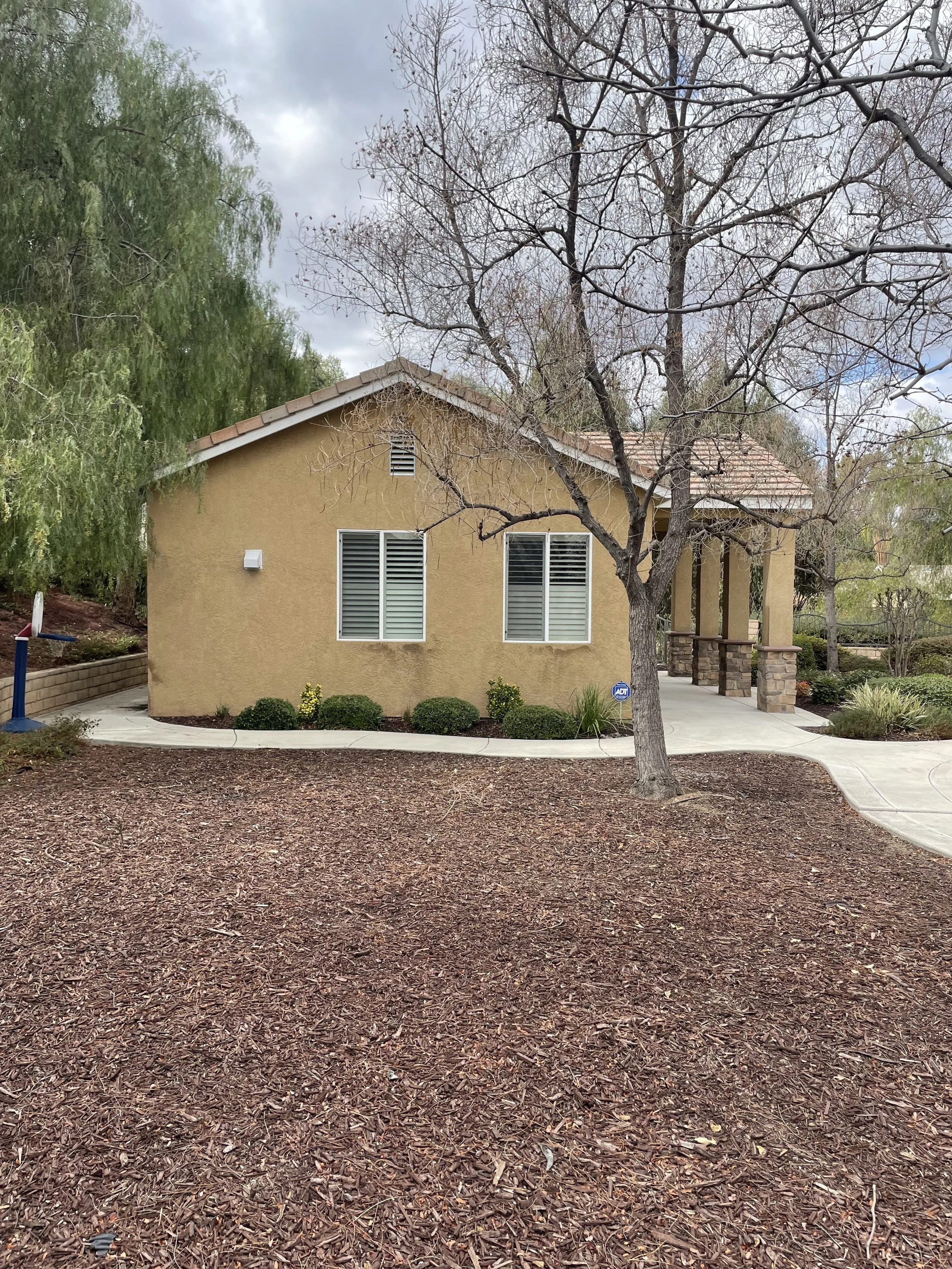 Front yard of a house with a tree, some bushes, a sidewalk, and a basketball hoop, on a cloudy day.