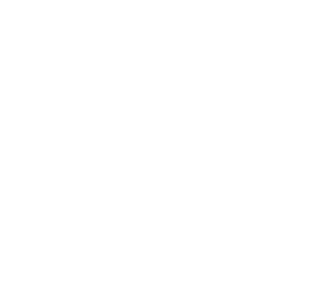 Berney Construction