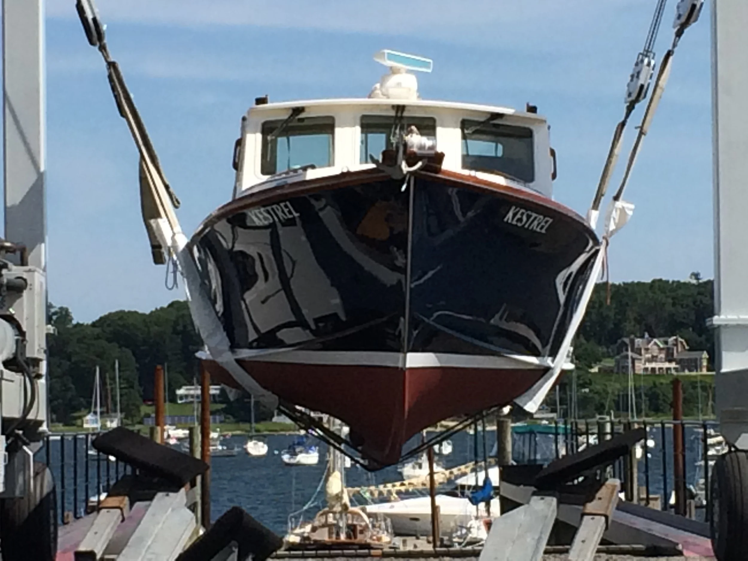 from Anton's phone 1-4-16 482.JPG