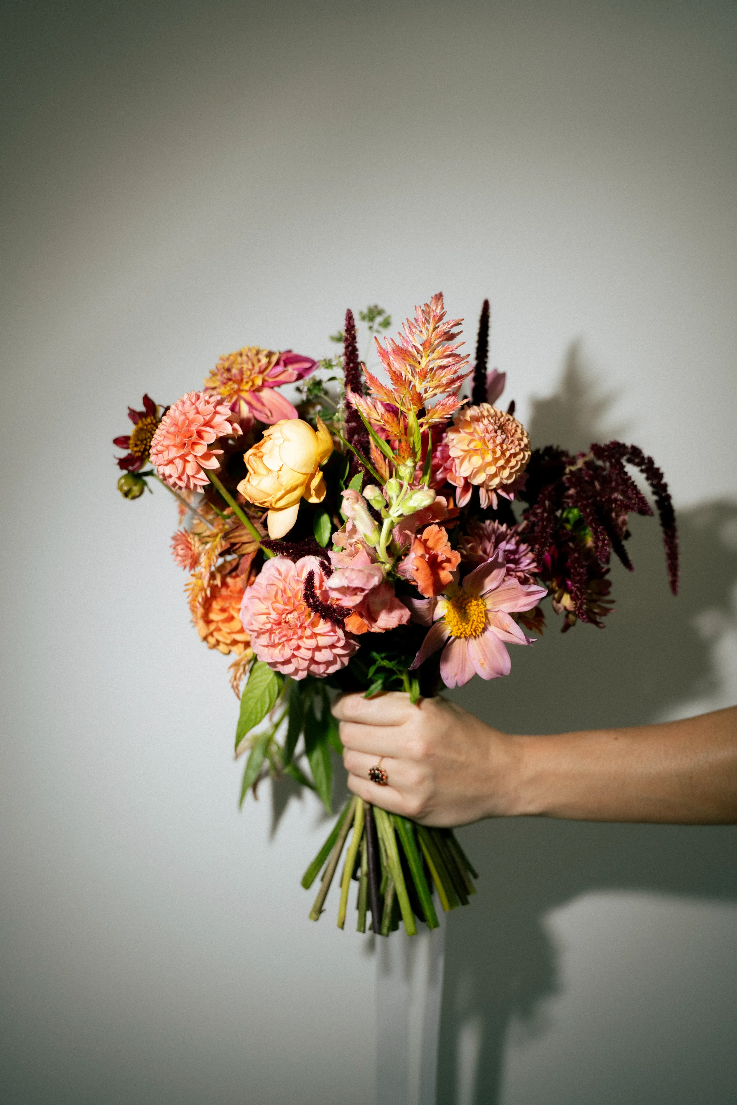084-DSC09757.webp