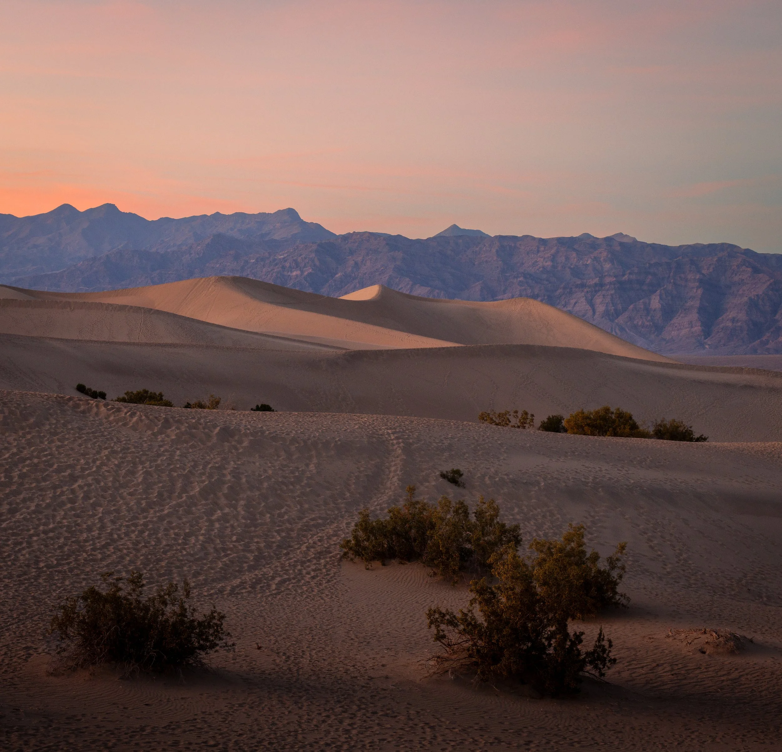 Mesquite Sand Dunes.jpg