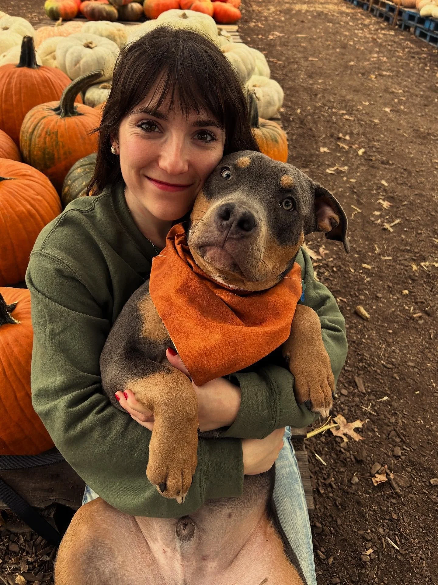 Happy Fall from our lil family 🎃 🍂 

*swipe to the very end to see a spoooooky ghost 👻 

#happyhalloween #puppy #pumpkin