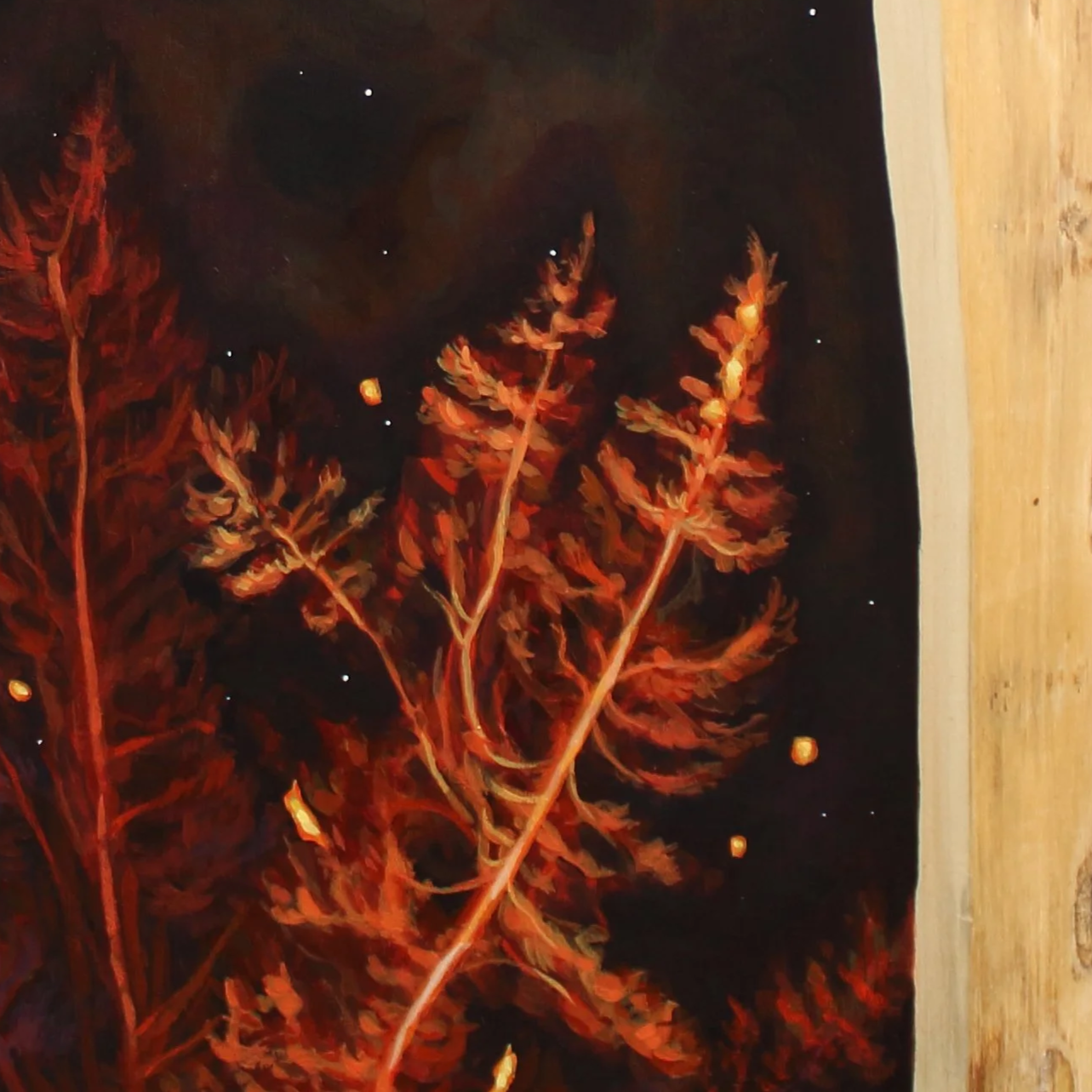 IMG_4671crop.png