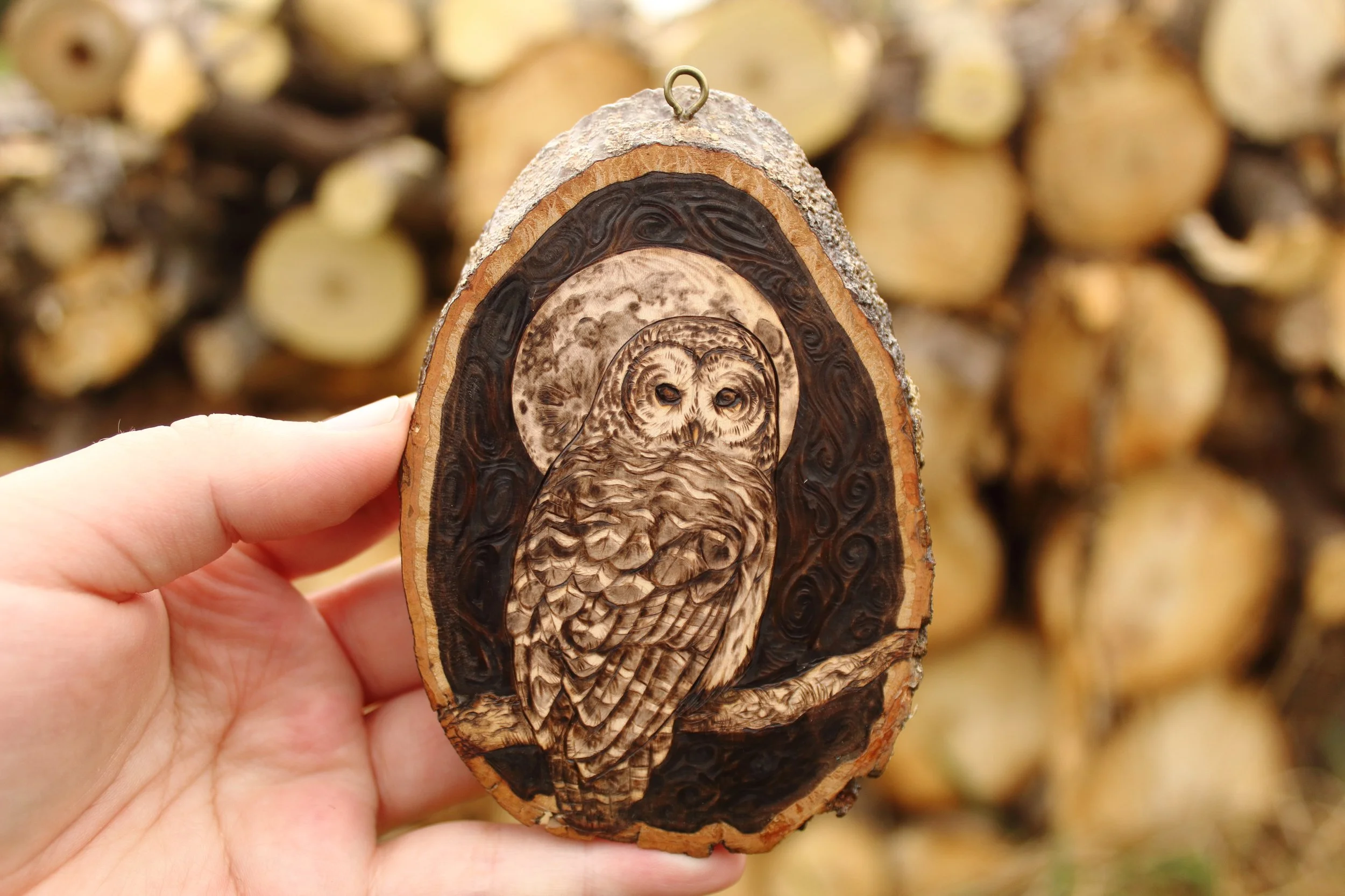Barred Owl