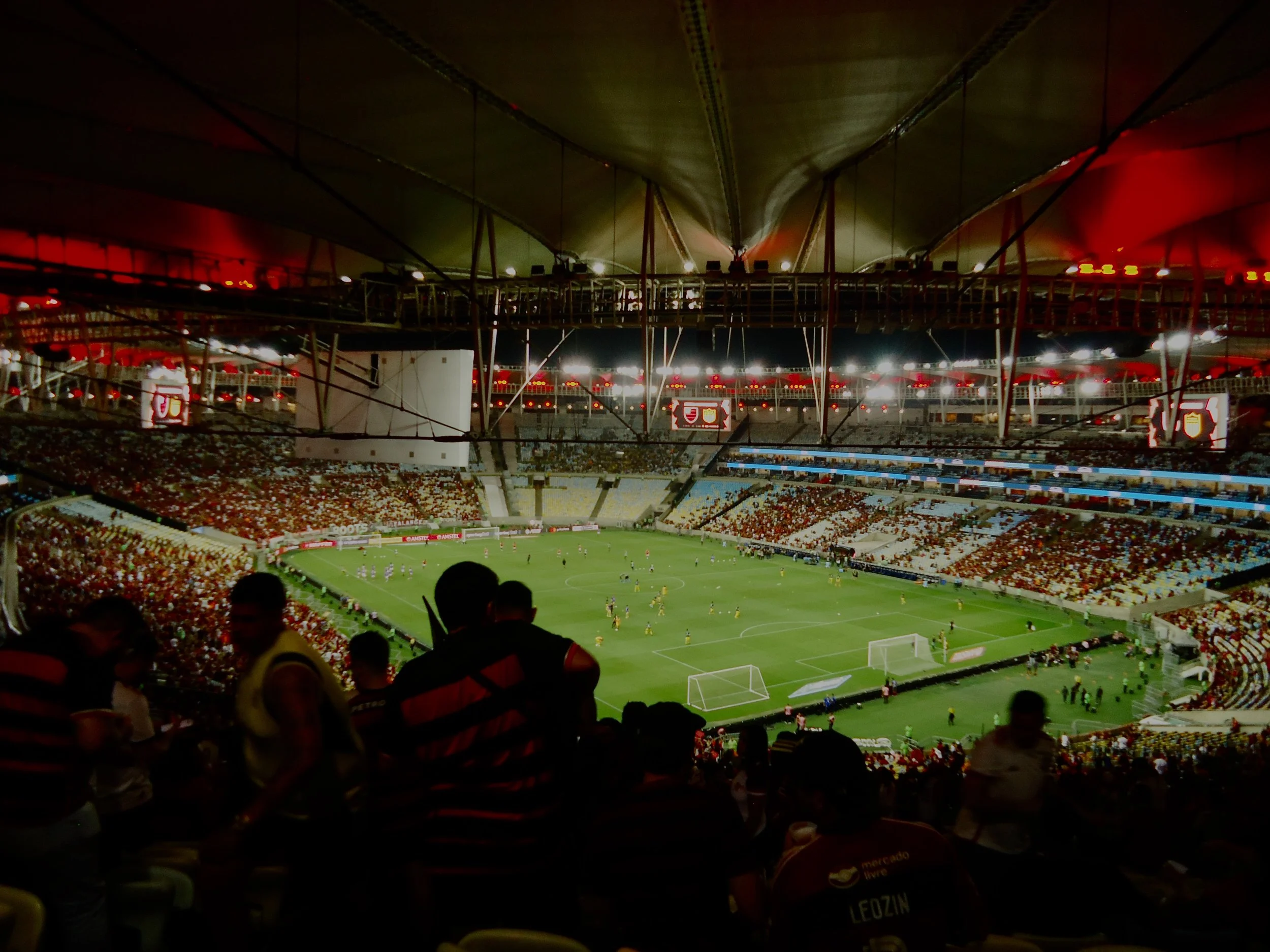 The Wonderful World of Sports Fans