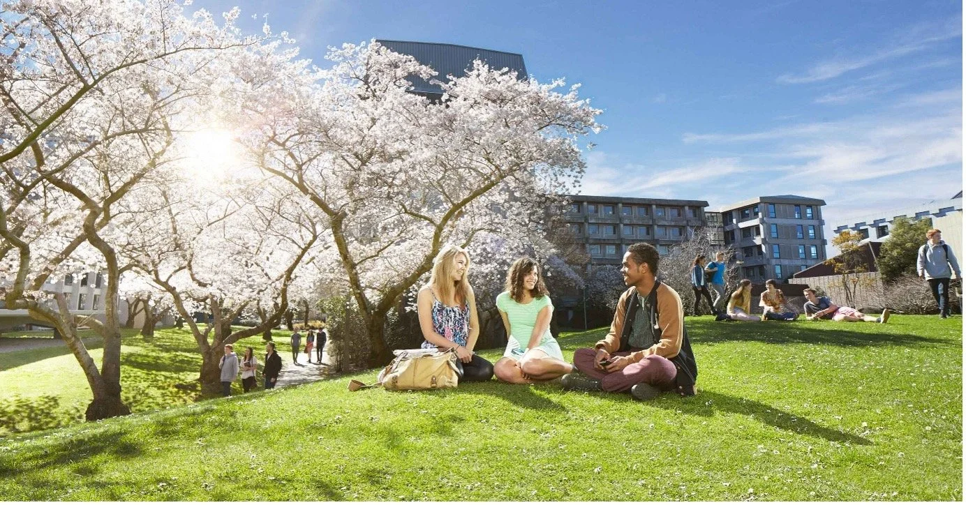 Meaning or Marketing? What UC’s approach to representation really reflects.