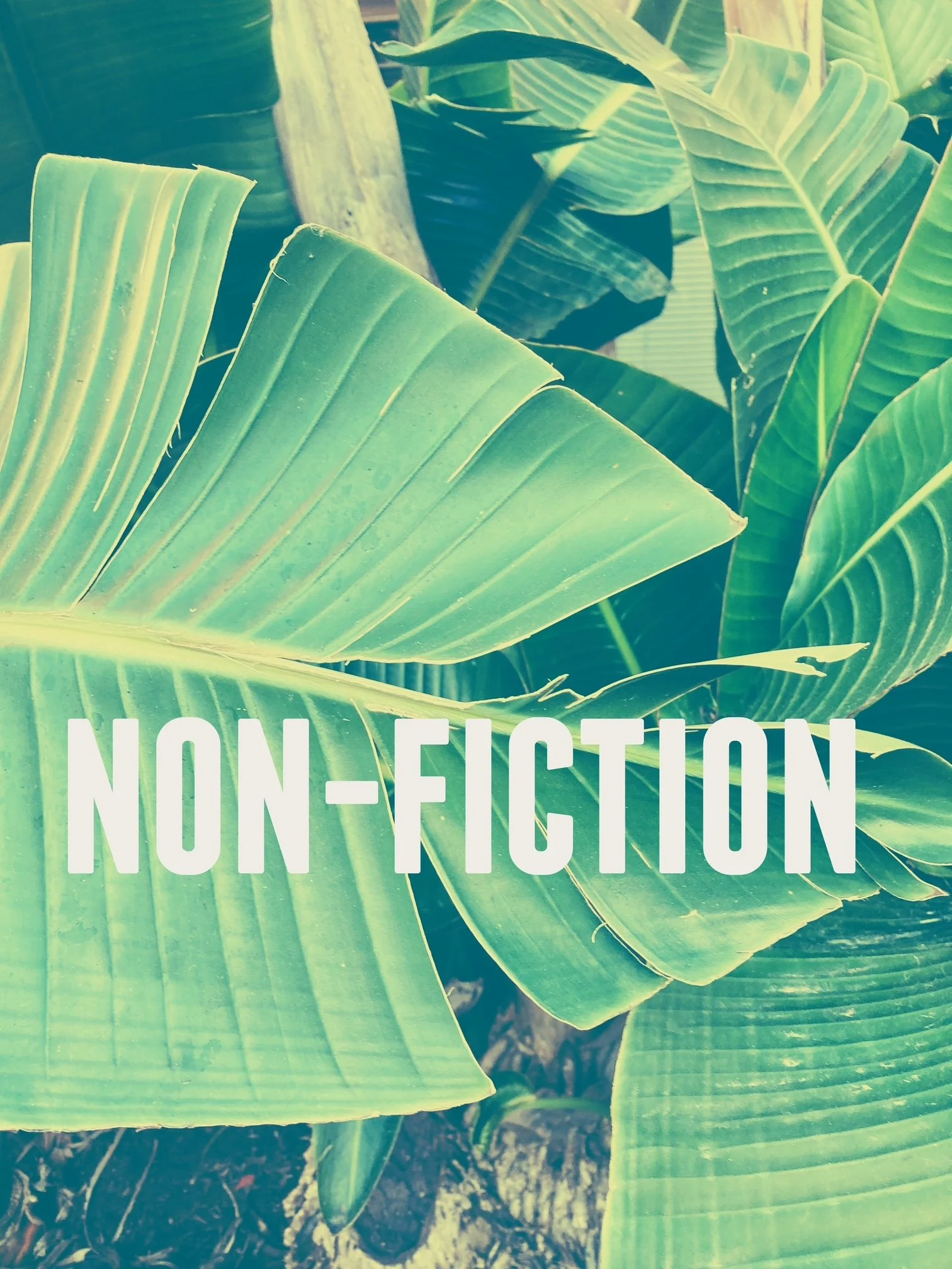 Rethinking American Girlhood Through Relatable Girls’ Fiction