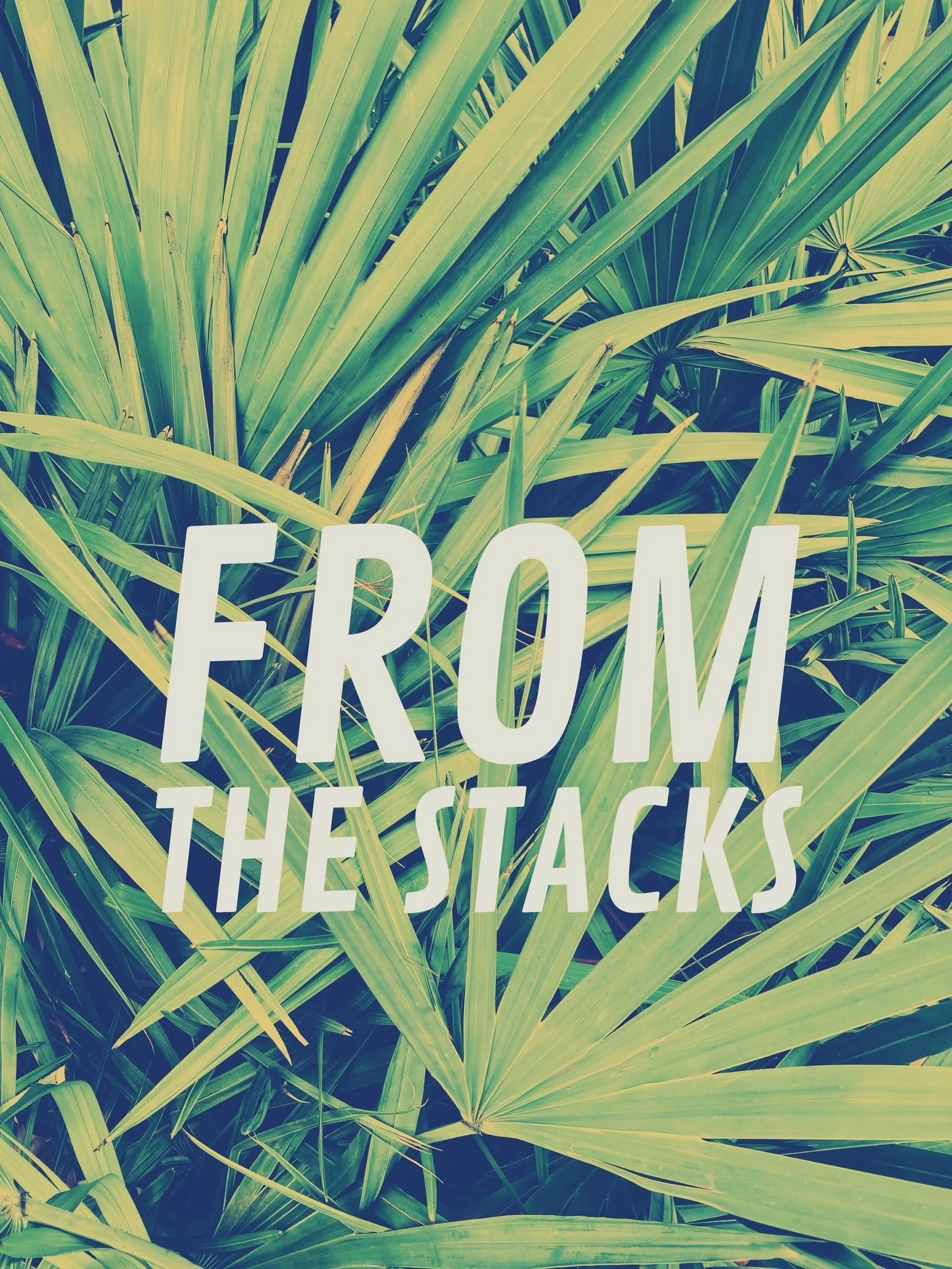 From the Stacks: A Place on Earth 