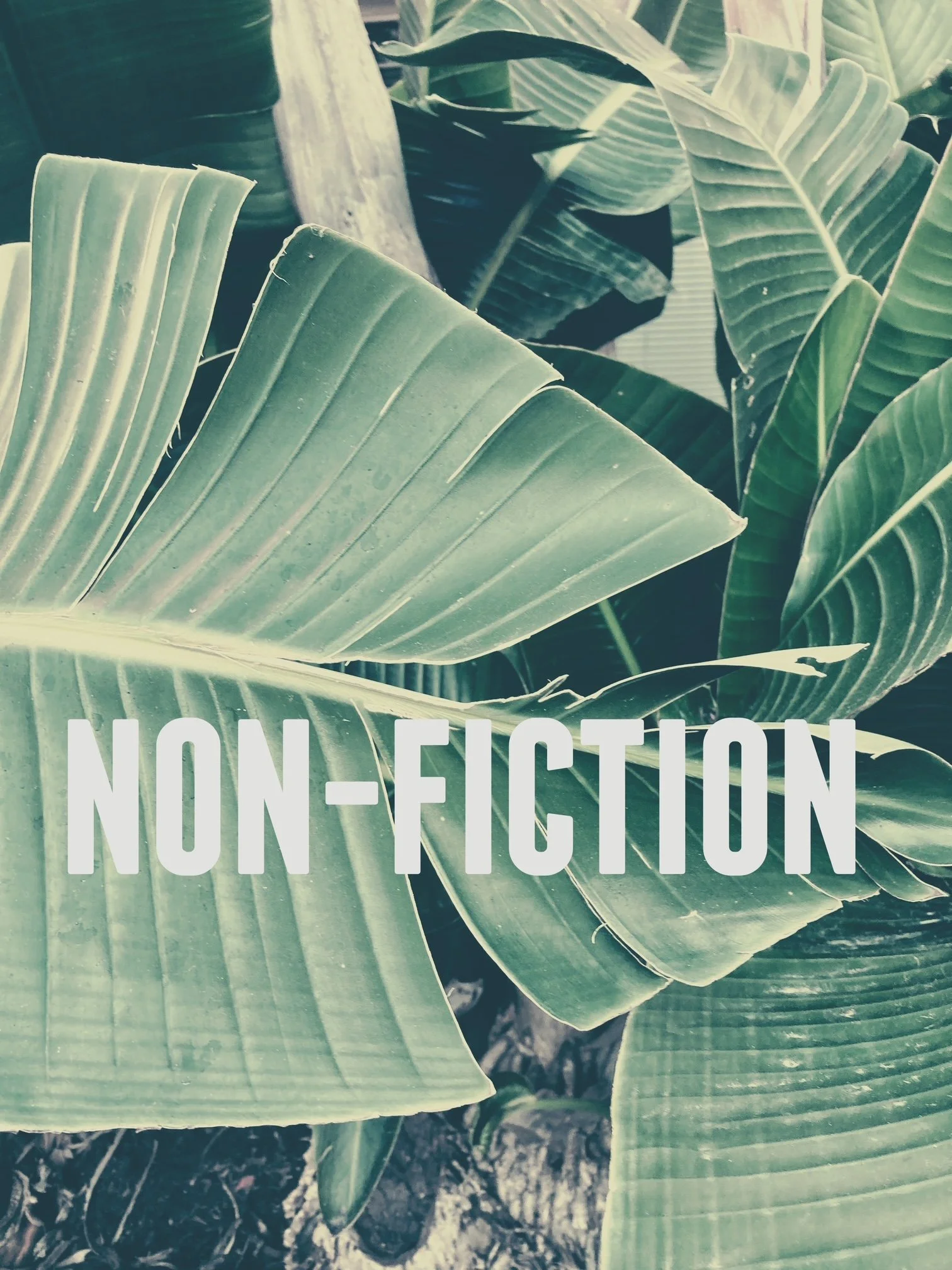 “The Terminator” as non-fiction