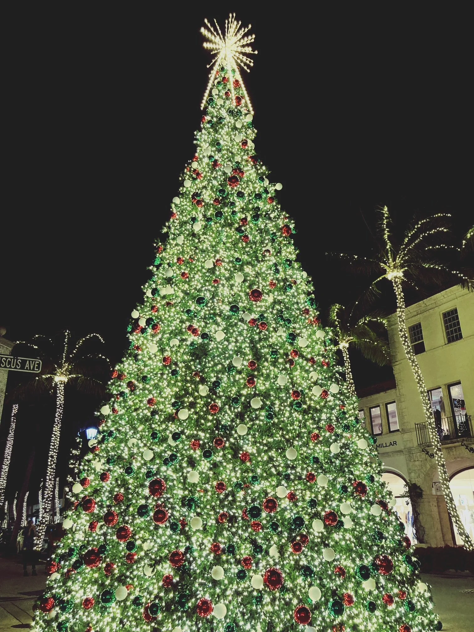 A reading from “A Christmas Carol”