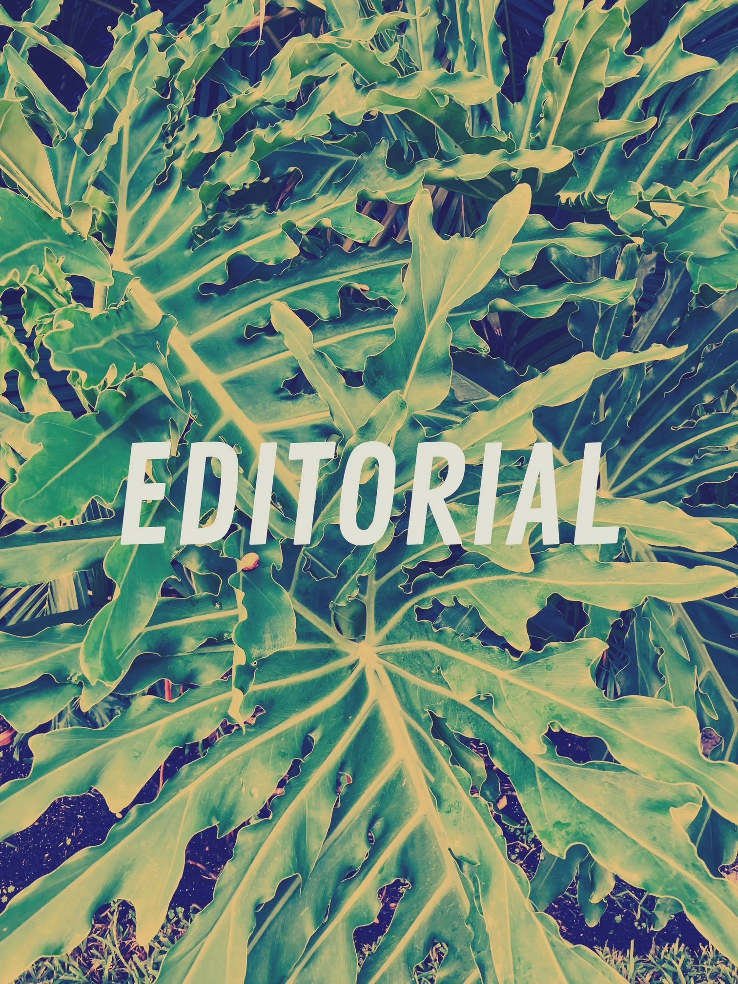 AI? Hard pass. Be human. Read human.