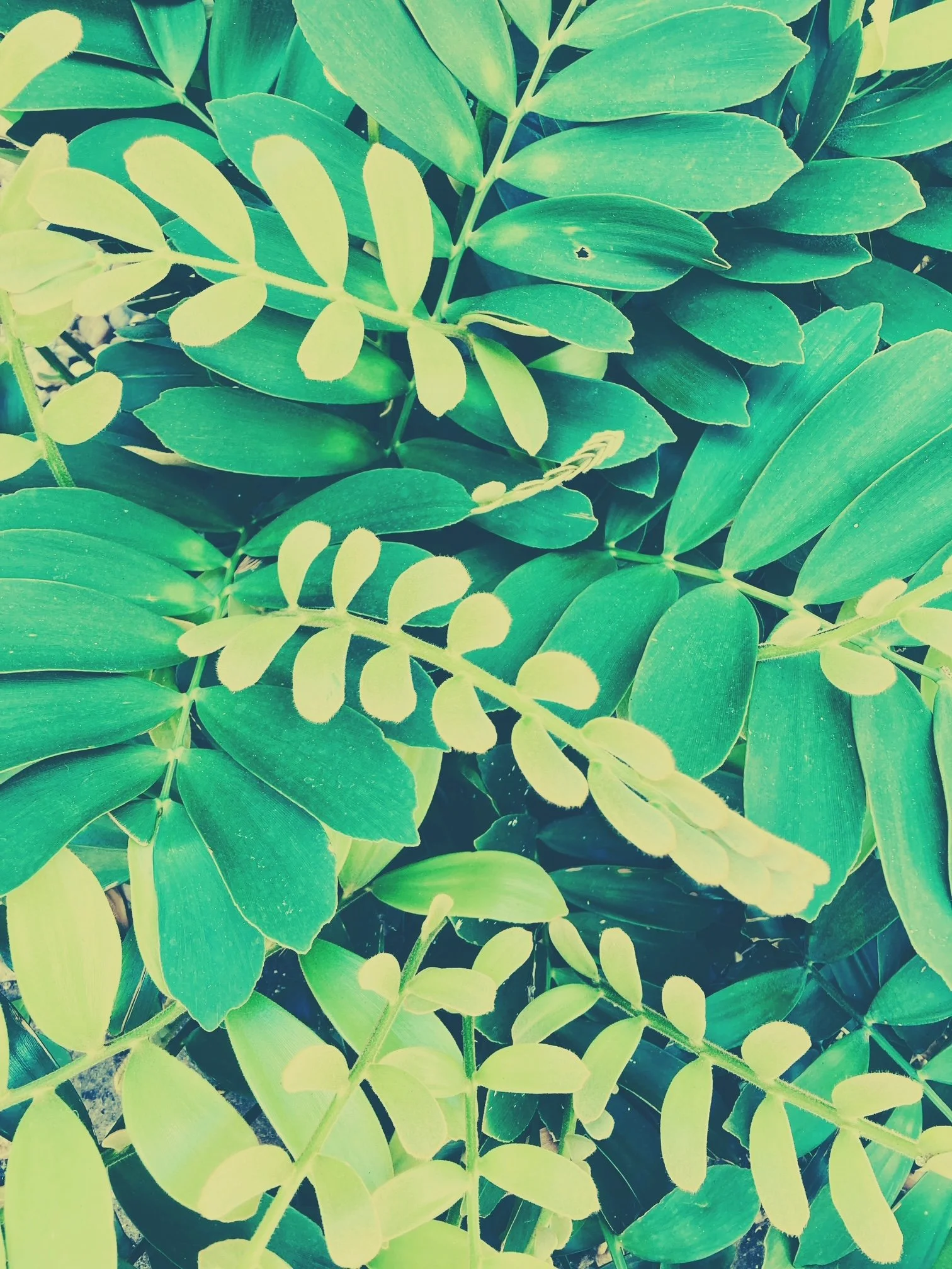 Yes! we have no bananas, but we do have a weekly email