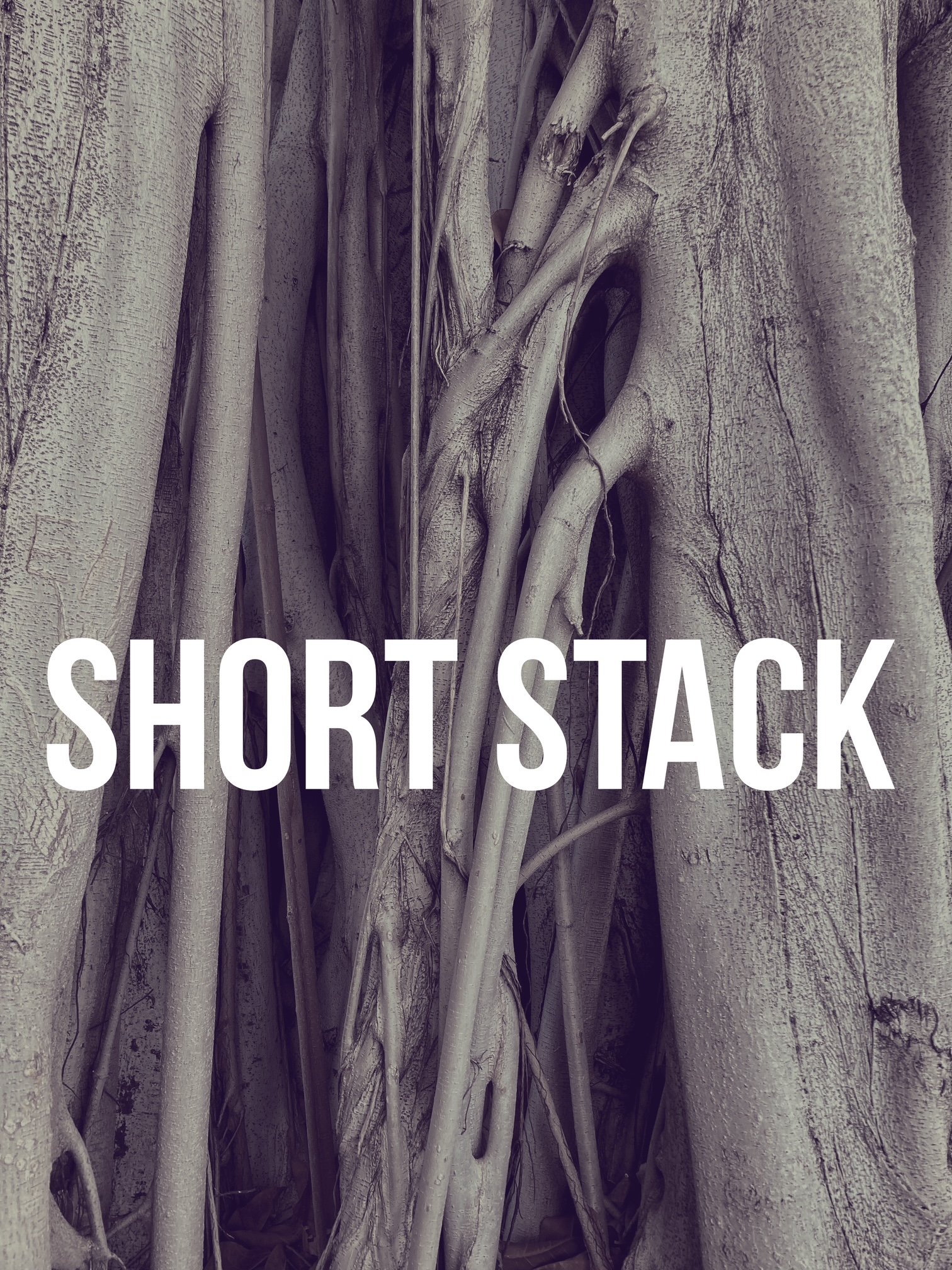 Saturday Shortstack