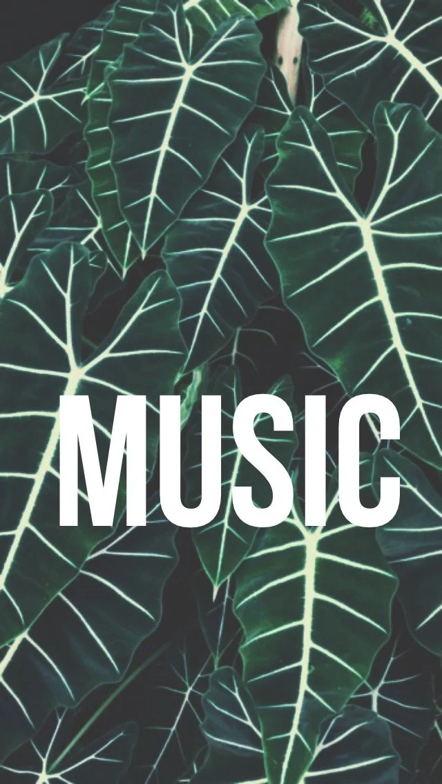 Catching a Vibe: How Spotify Licensed an Experience and Commercialized a Culture