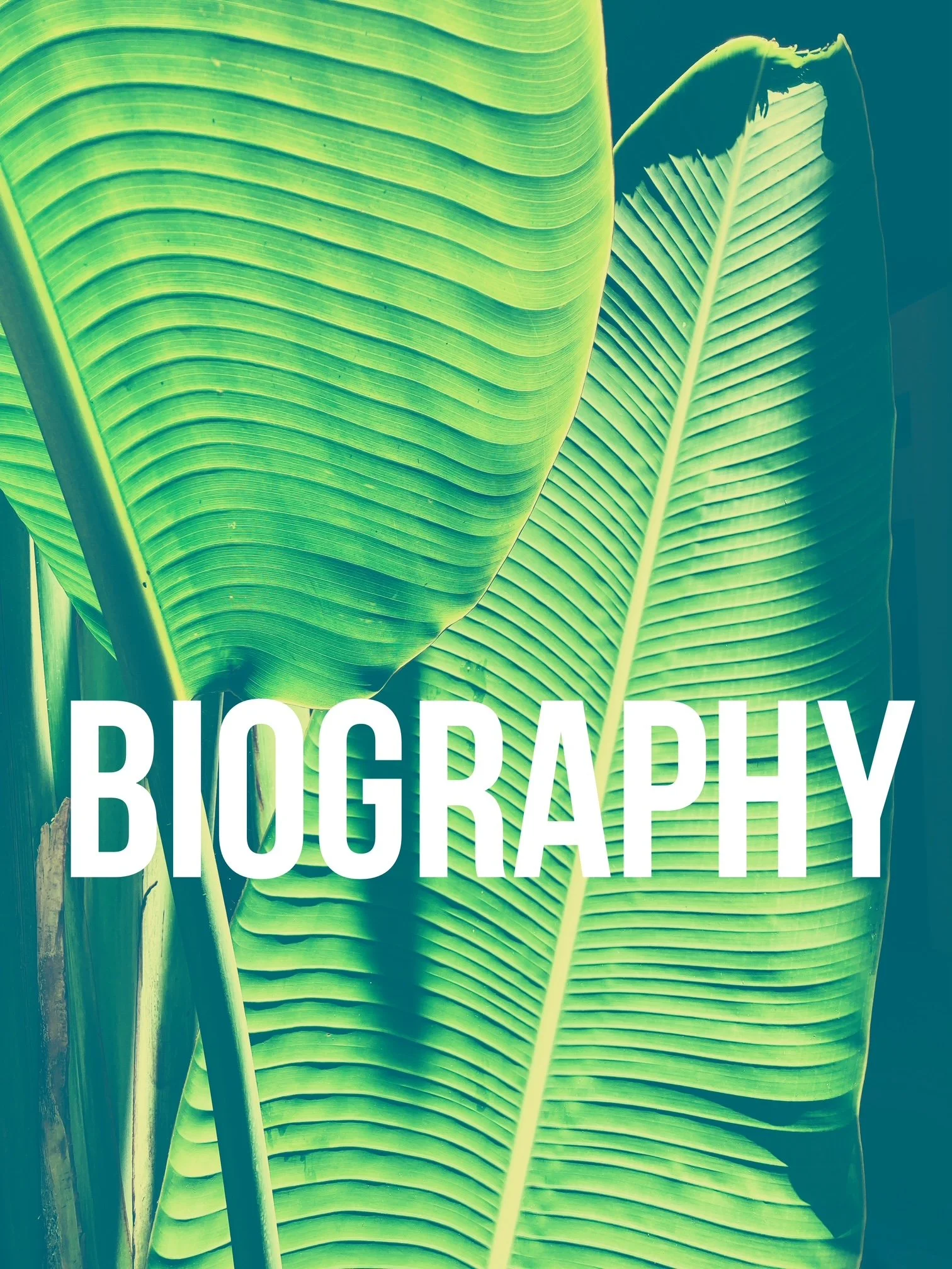 The Best of All Possible Biographies?