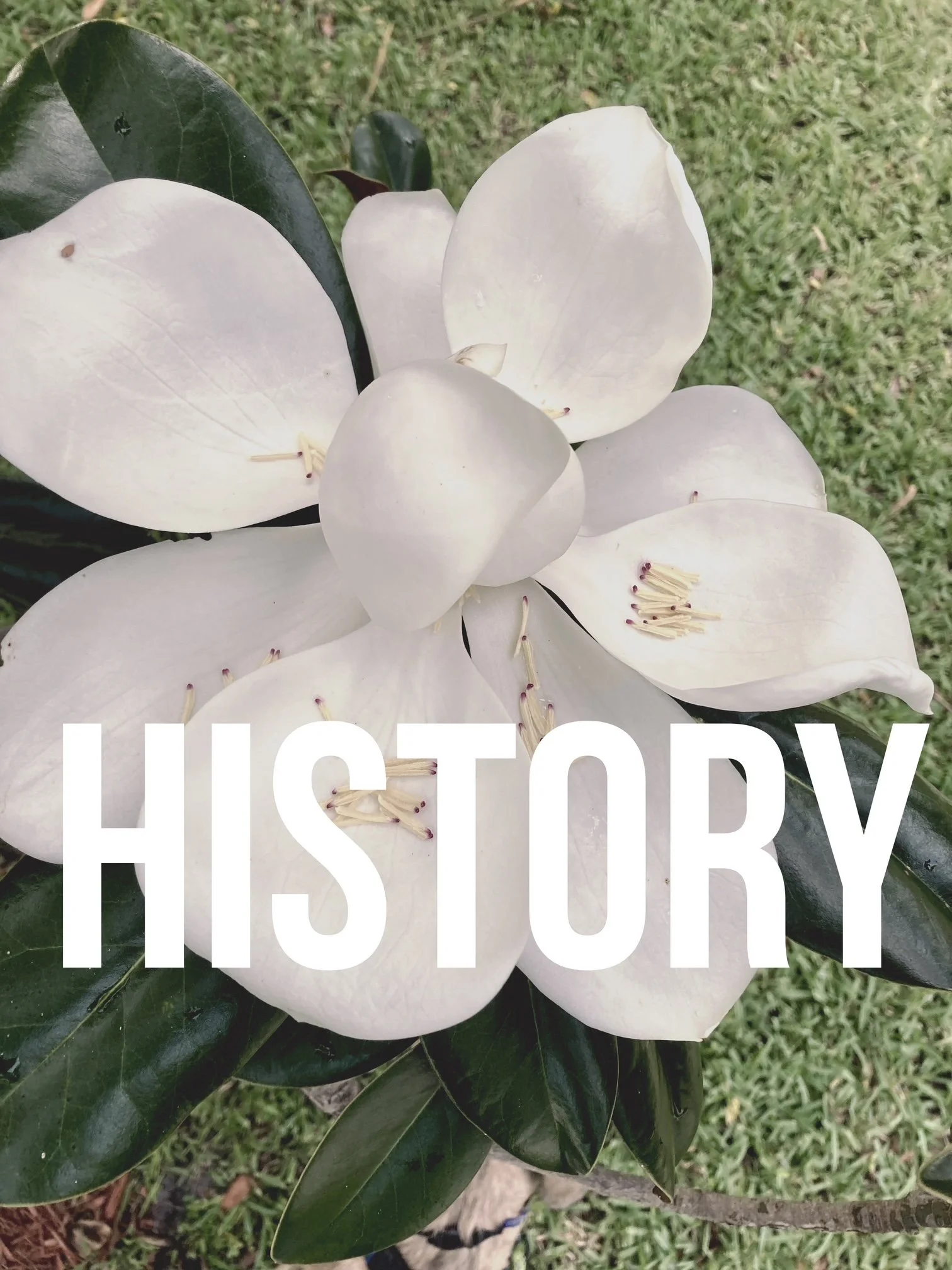 History underfoot and on display