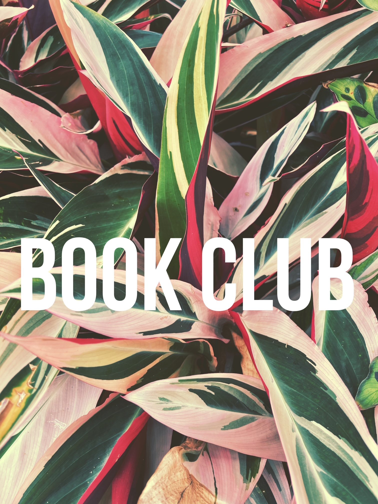 Our next book club: “Standing by Words” by Wendell Berry