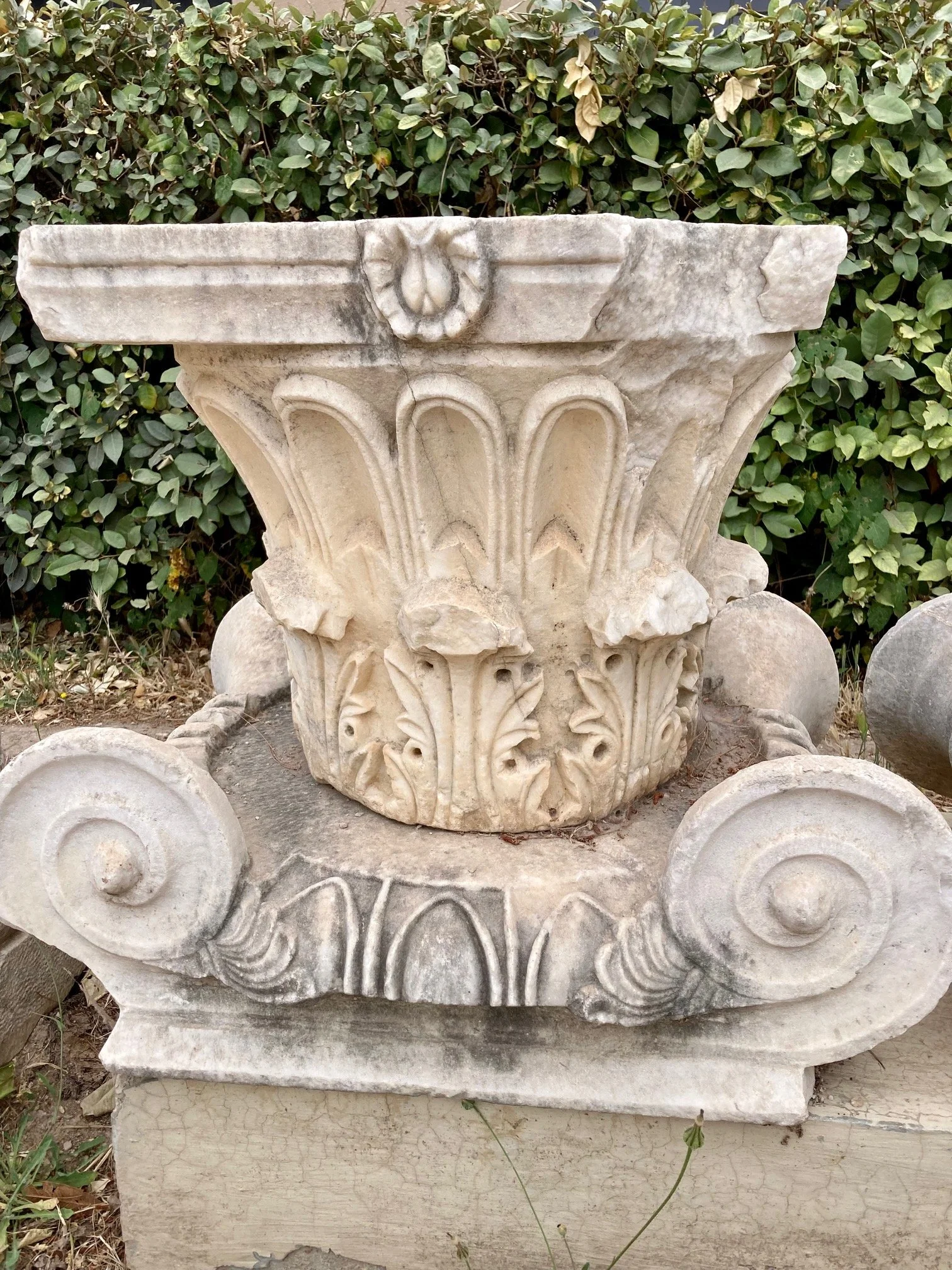 There it is, the capital of a Corinthian column.  Since childhood you have heard about just this thing.
