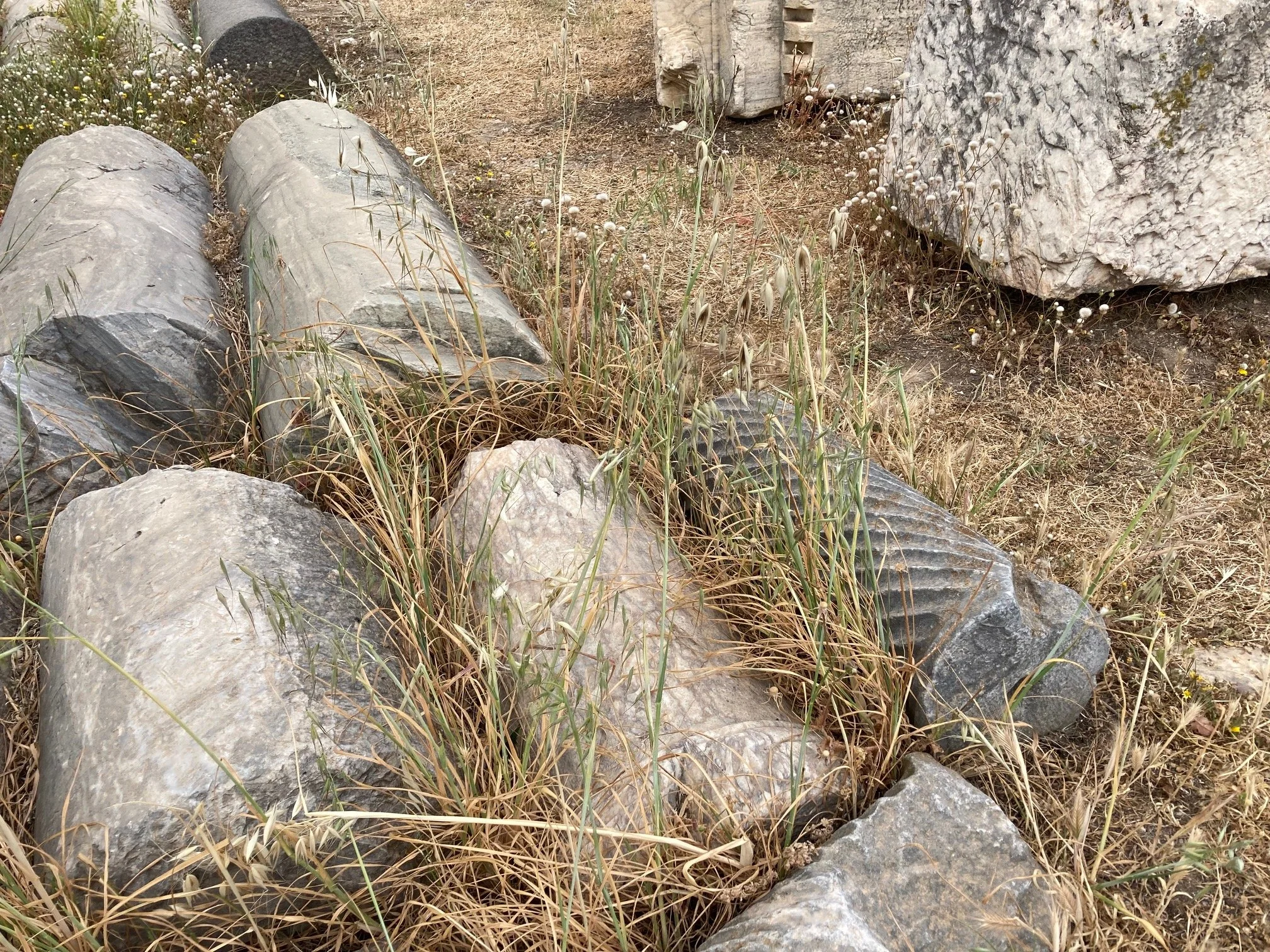 All of Greece is a seismic zone. Anything standing is special.
