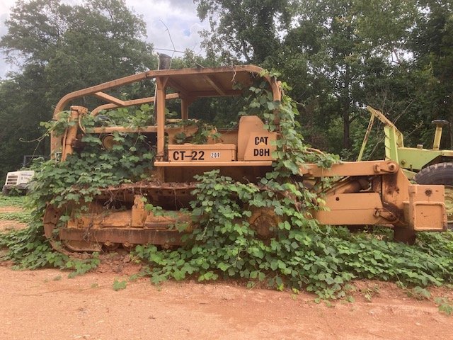 Red dirt clings to your shoes. Your sweaty hair clings to your forehead.