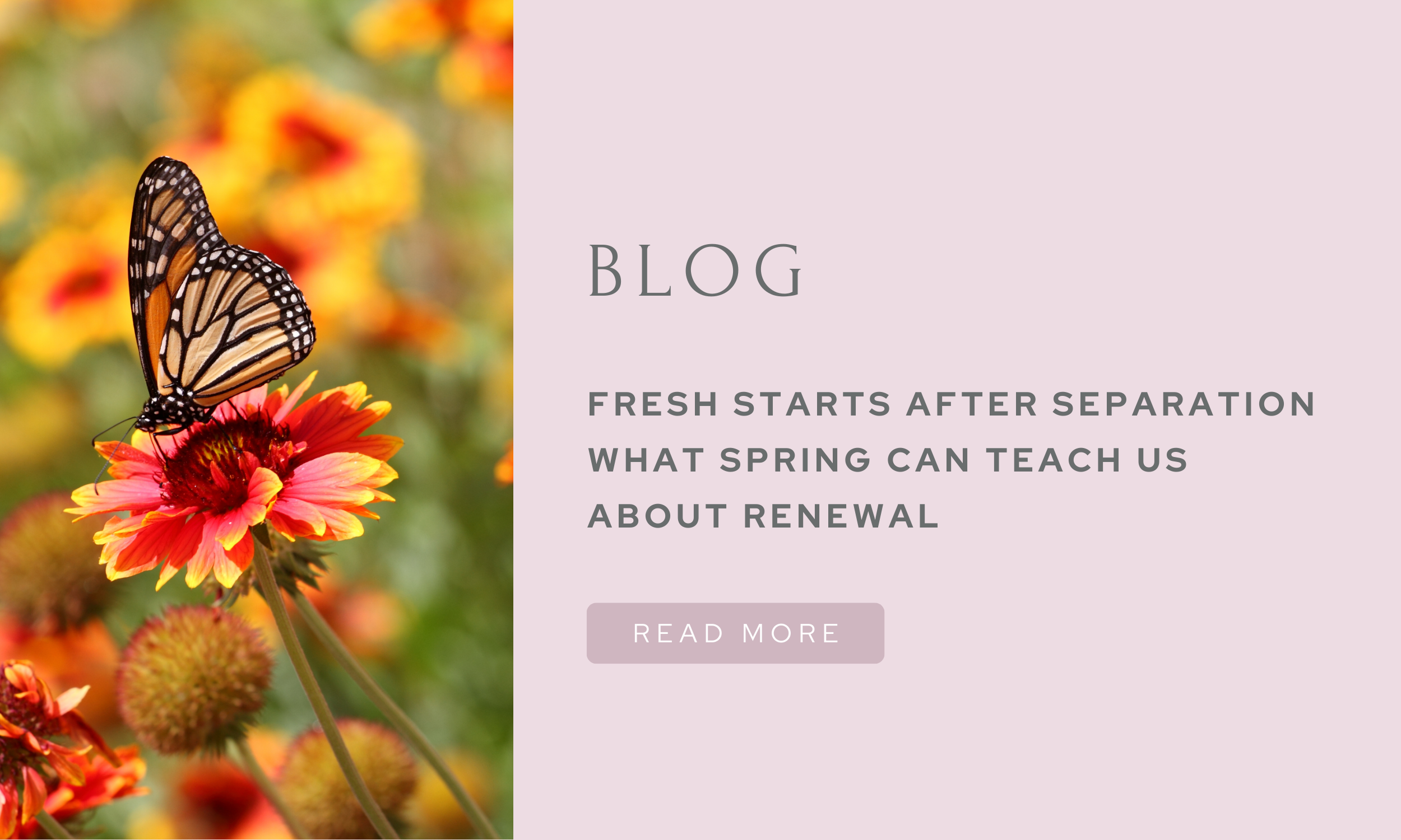 Fresh starts after separation 