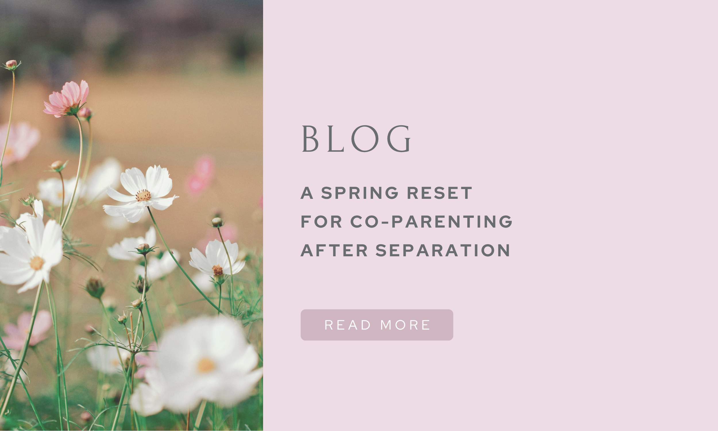 A Spring reset for co-parenting after separation