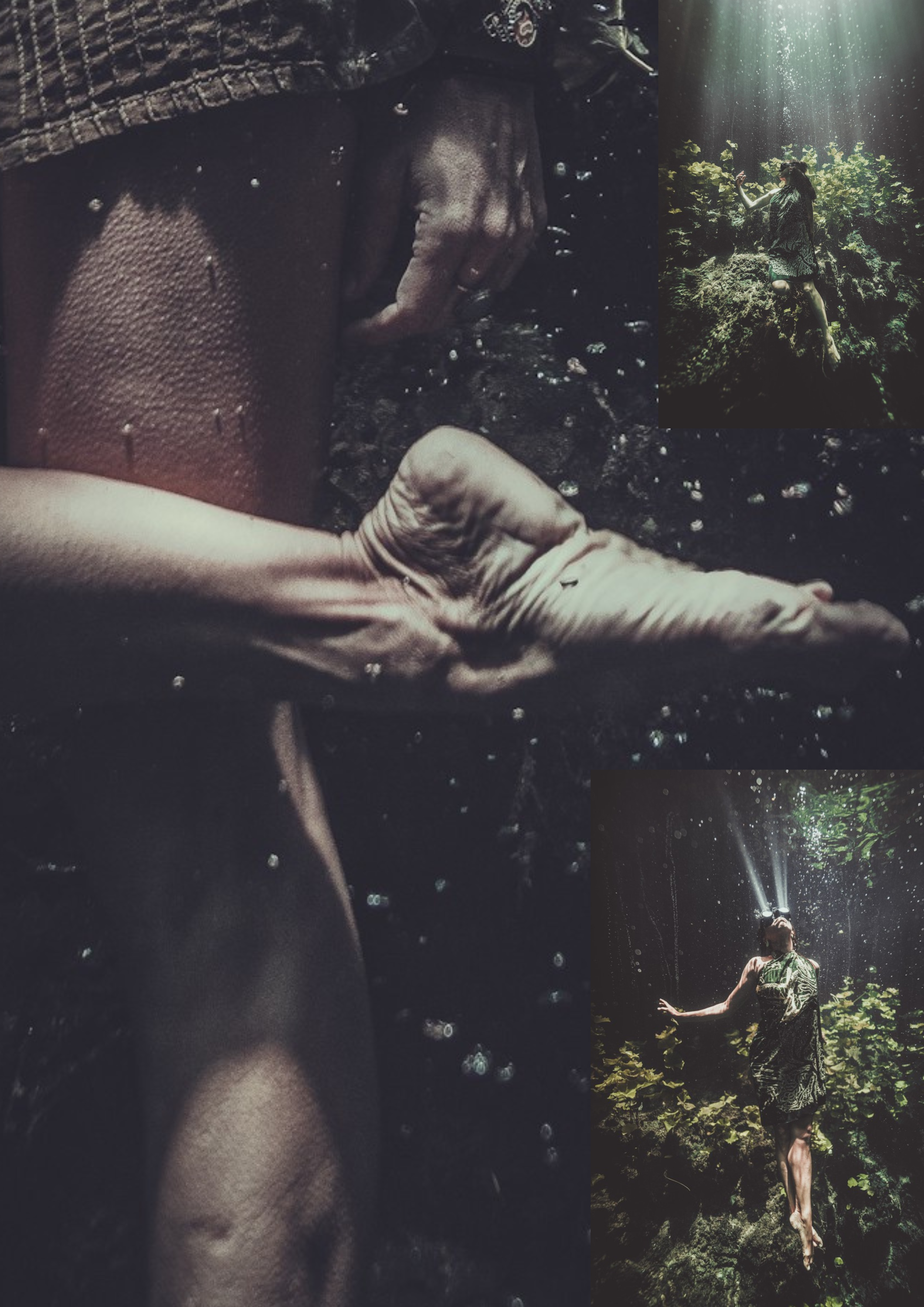 Details from the photo prints by Carpe Diem Holistic