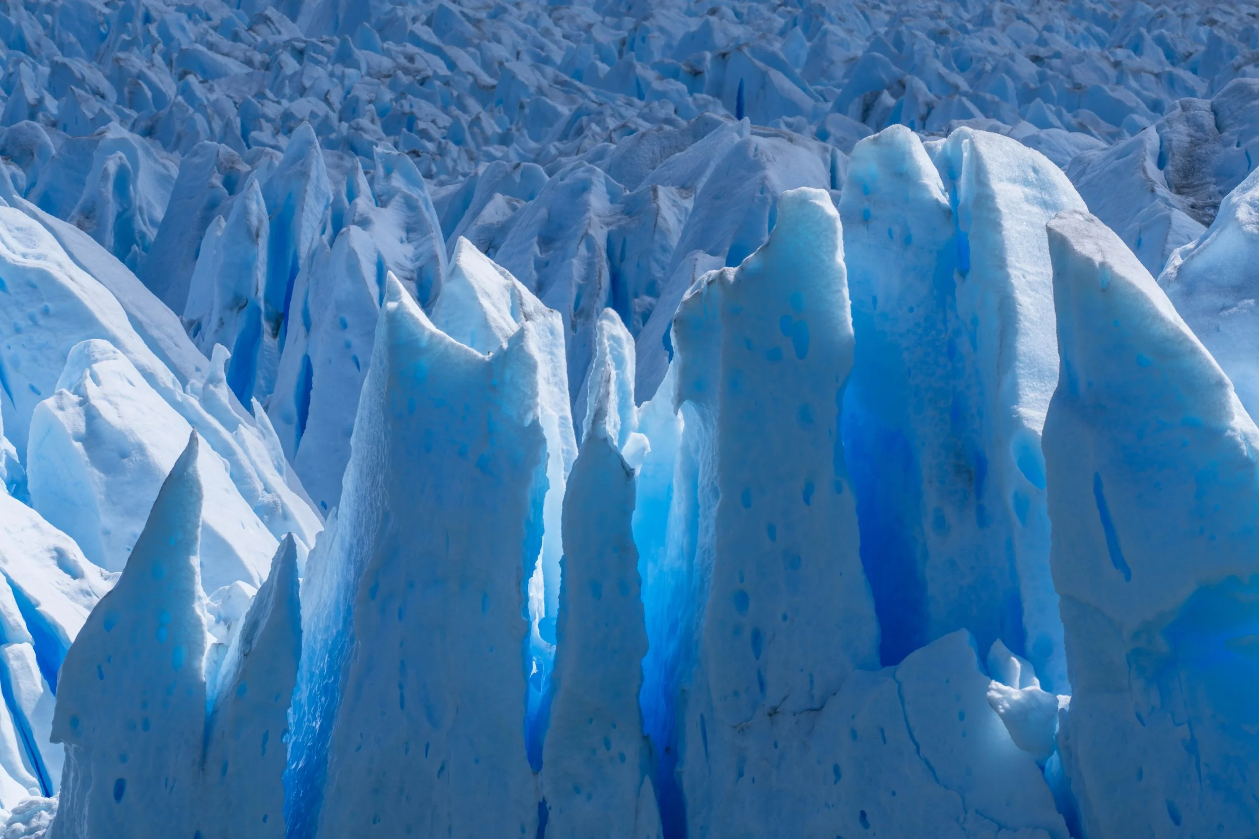 Water, Memory, and What We Choose to Protect