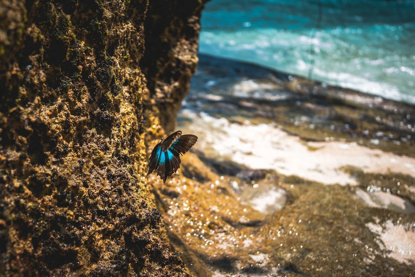 Bali_retreat_freediving_carpe_diem_holistic (9).jpg